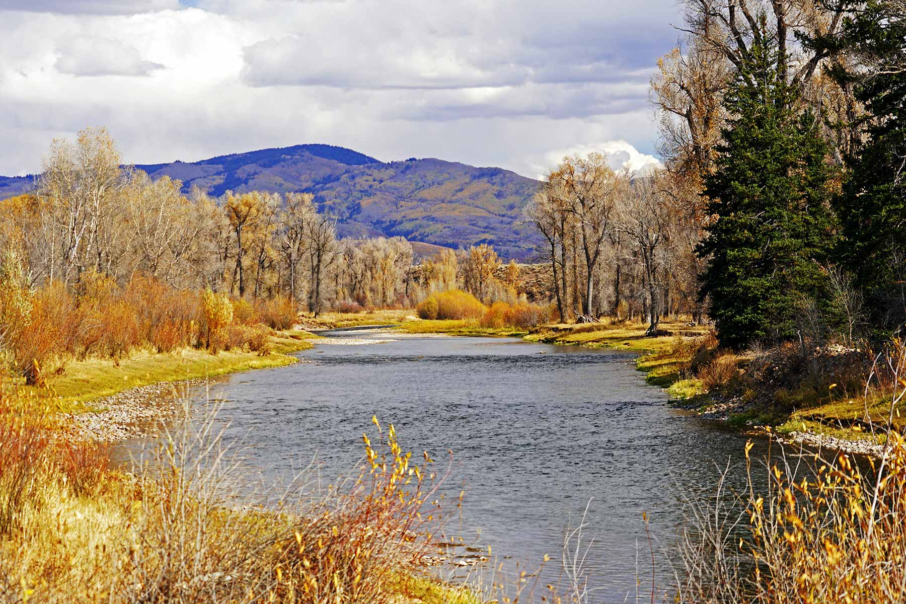 Yampa River Ranch property picture 57 of 63