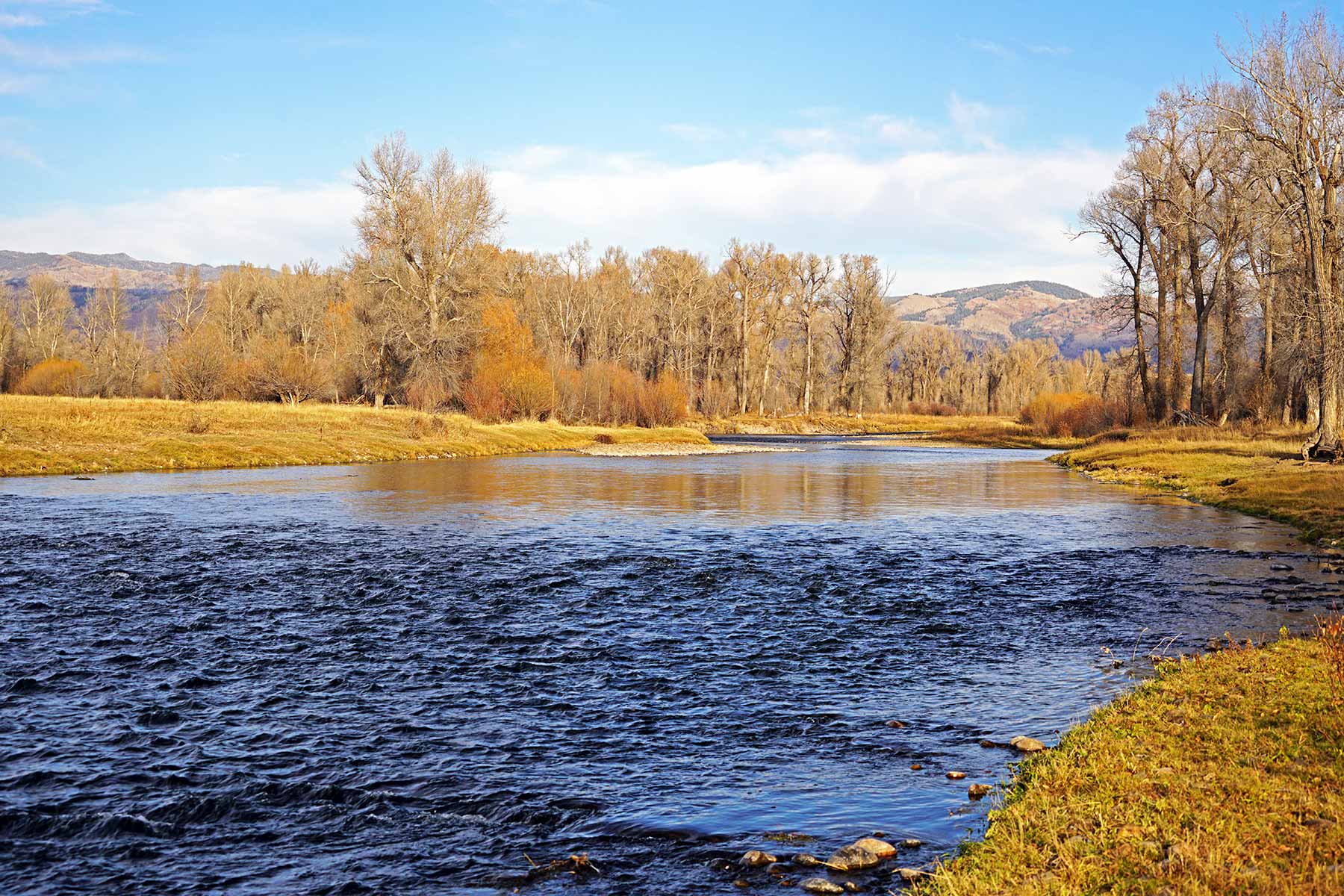 Yampa River Ranch property picture 52 of 63