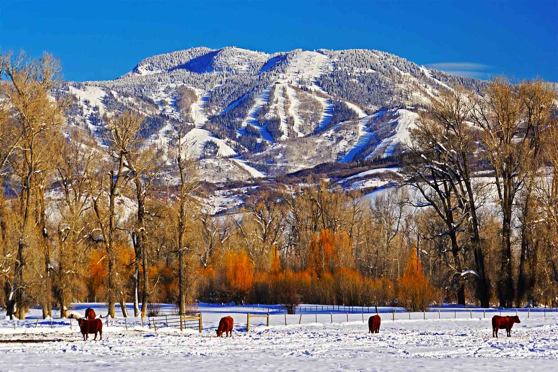 Yampa River Ranch property picture 17 of 63
