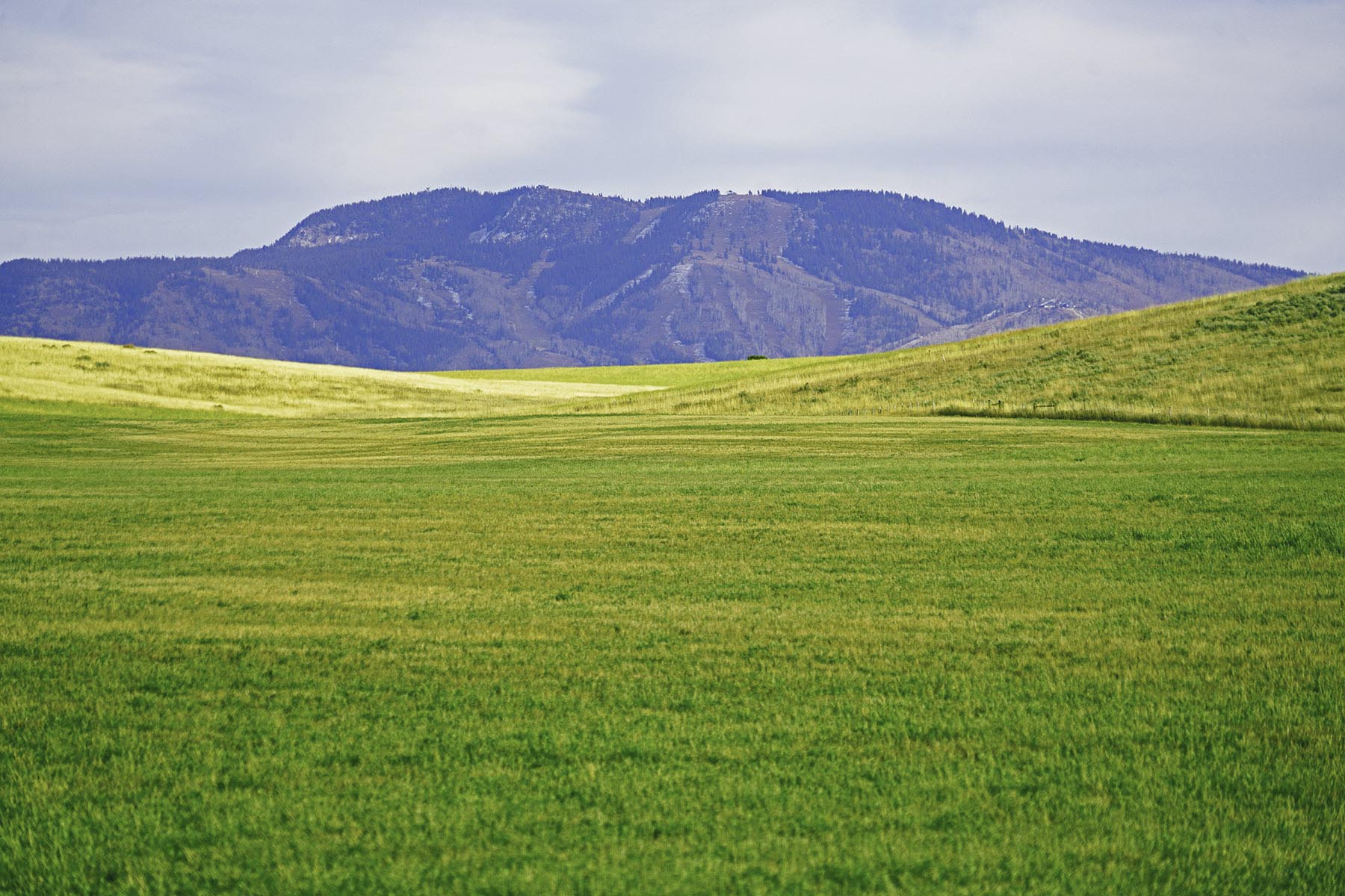 Yampa River Ranch property picture 50 of 63