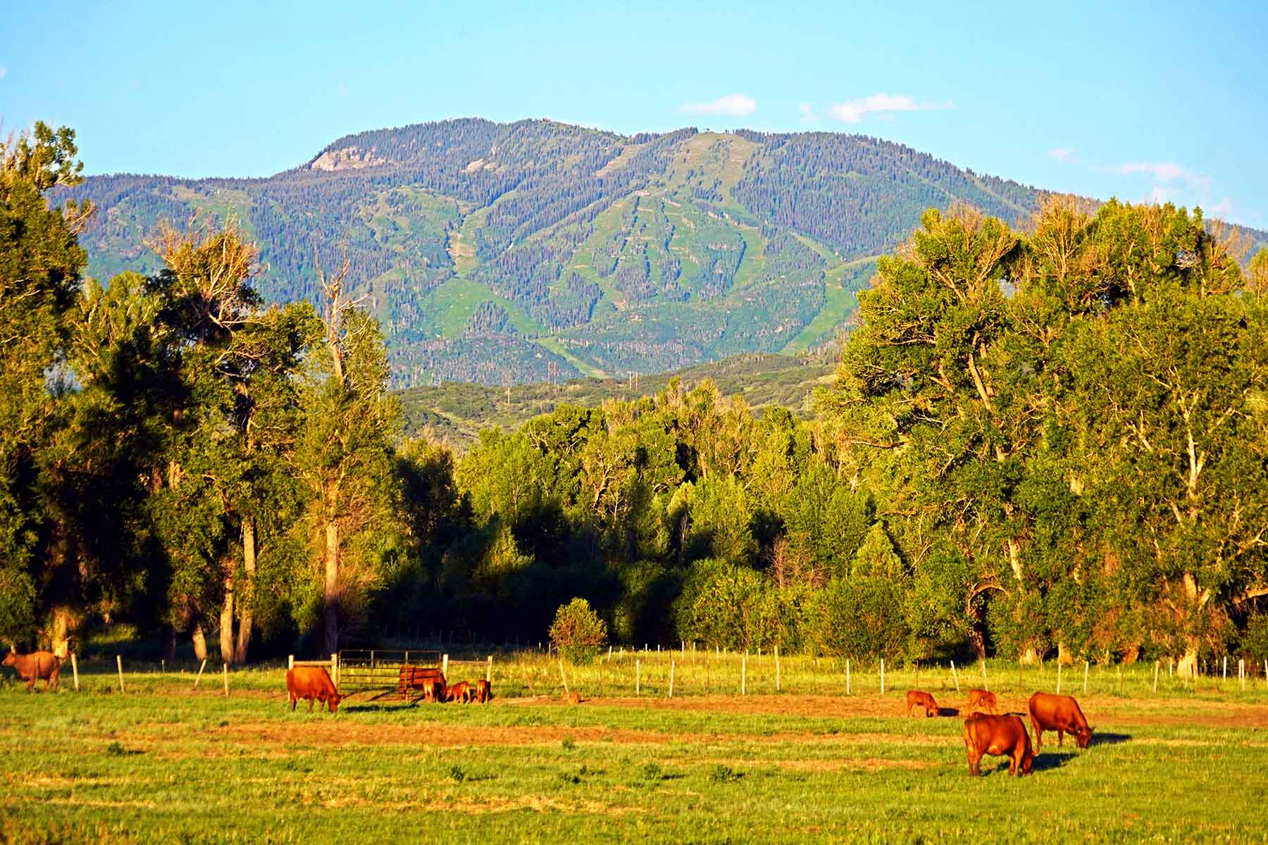 Yampa River Ranch property picture 10 of 63