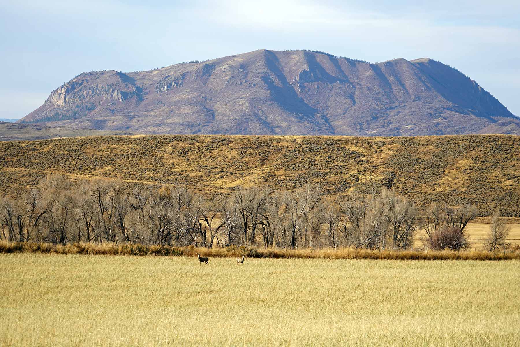 Yampa River Ranch property picture 44 of 63