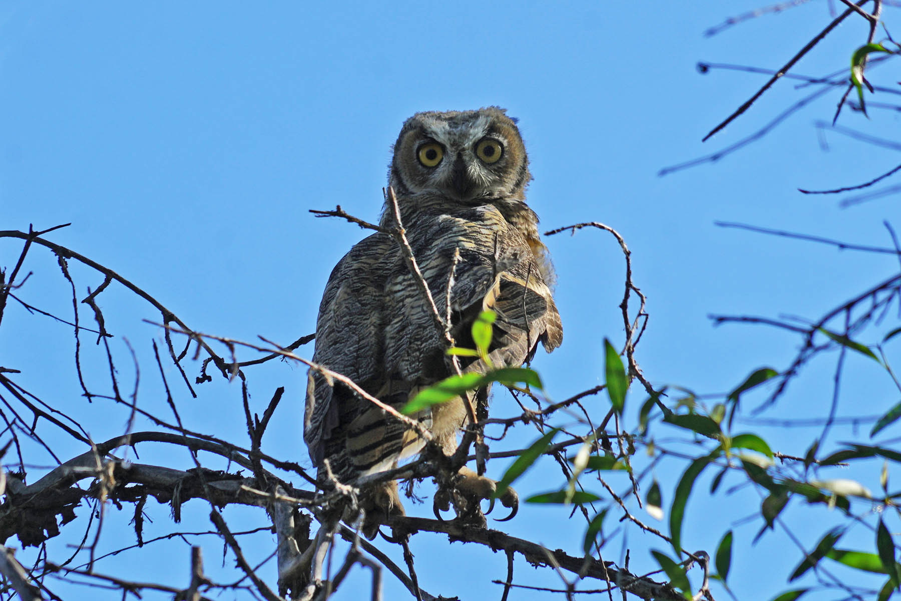 Yampa River Ranch property picture 63 of 63