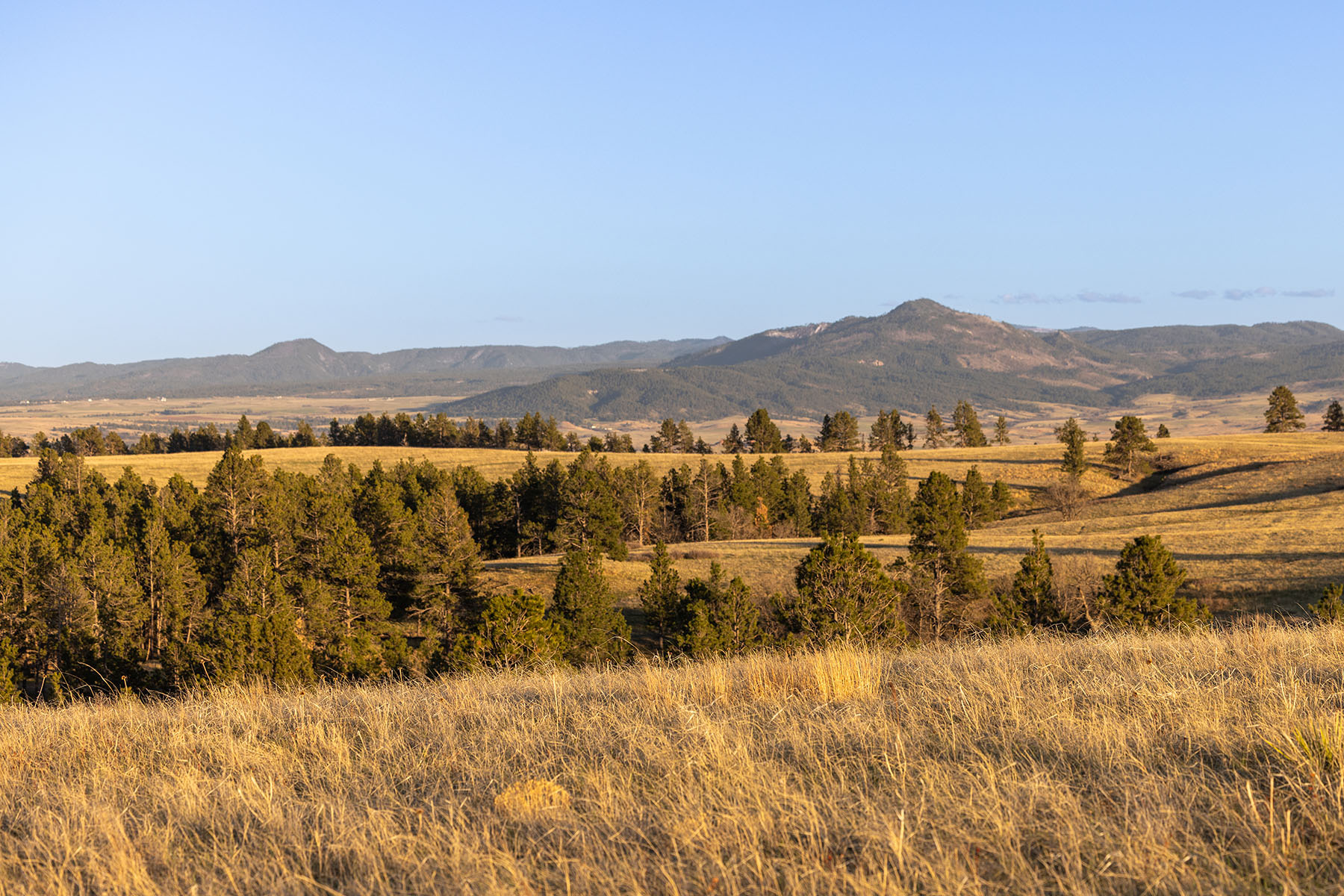 Riley Ranch property picture 13 of 33