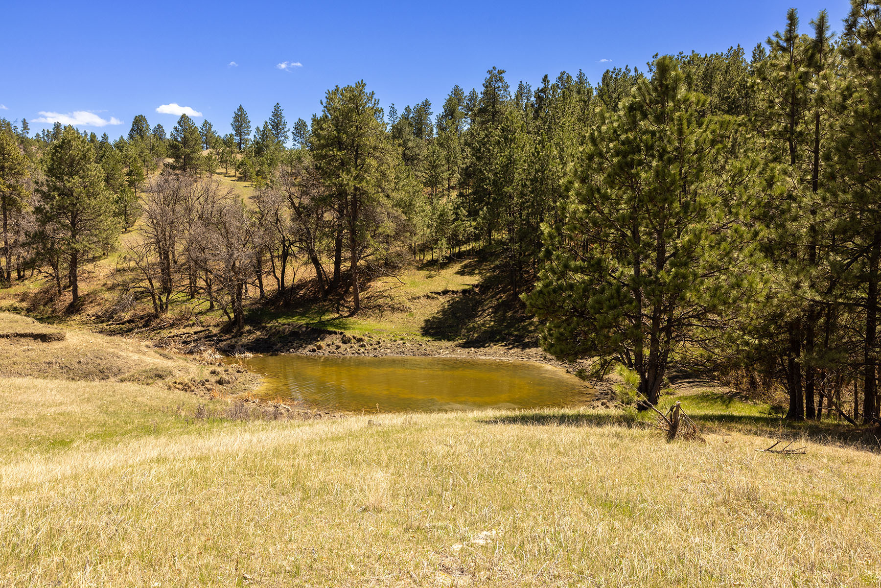 Riley Ranch property picture 12 of 33