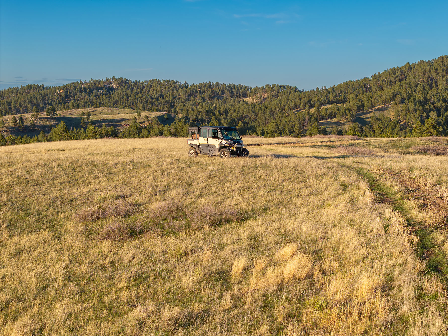 Riley Ranch property picture 6 of 33