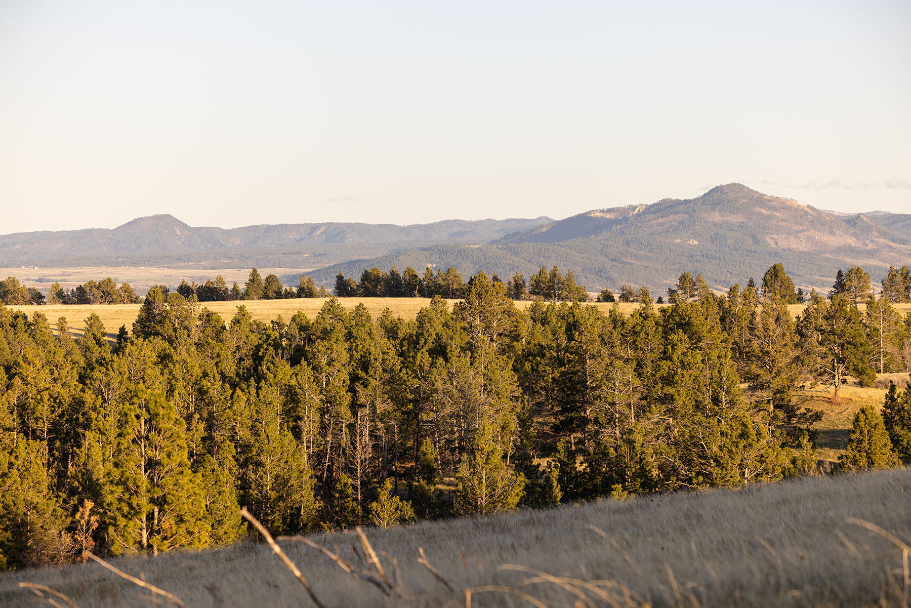 Riley Ranch property picture 26 of 33