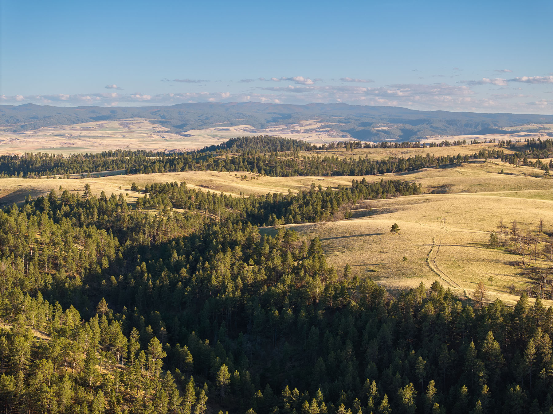 Riley Ranch property picture 9 of 33