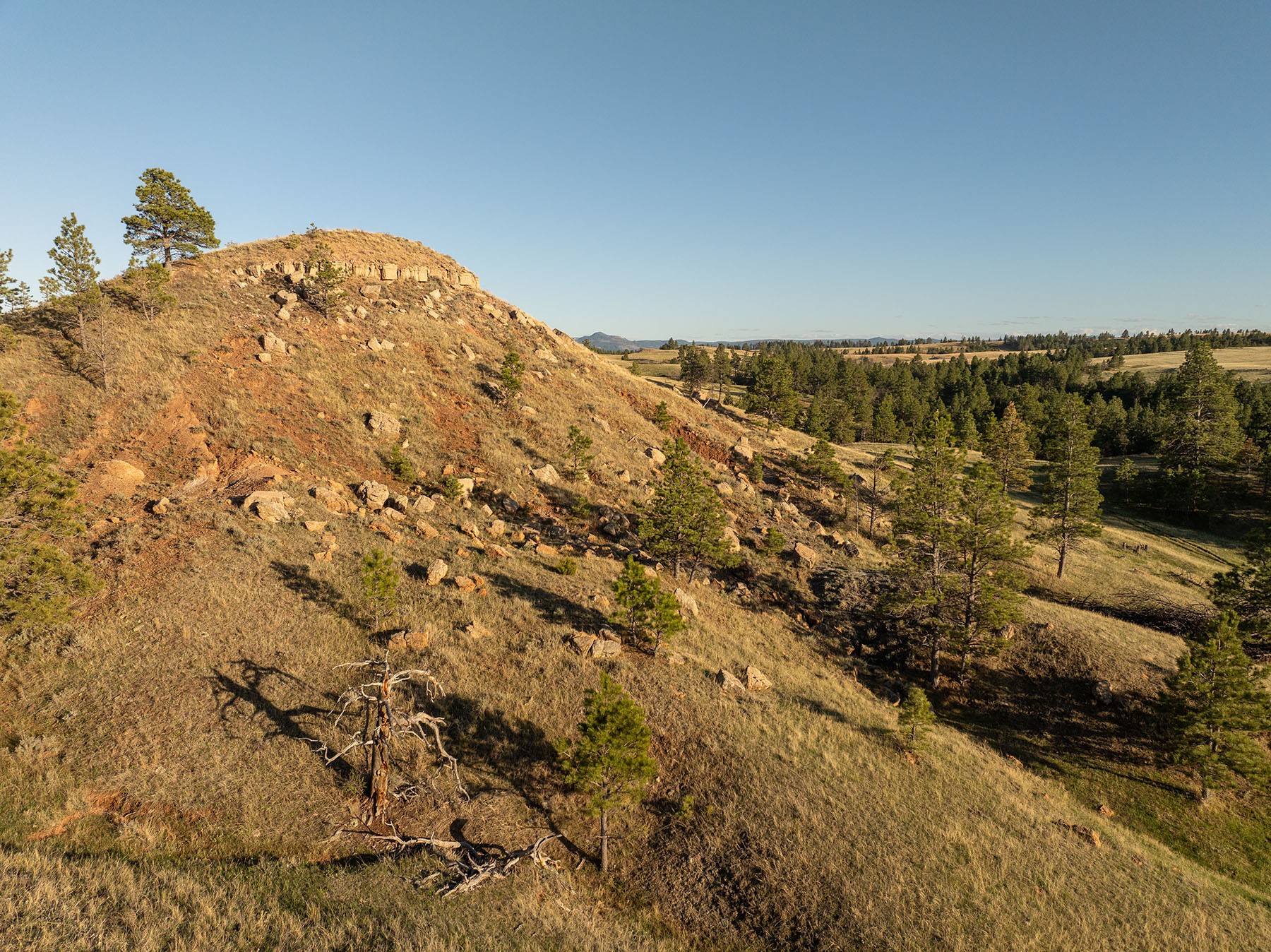 Riley Ranch property picture 30 of 33