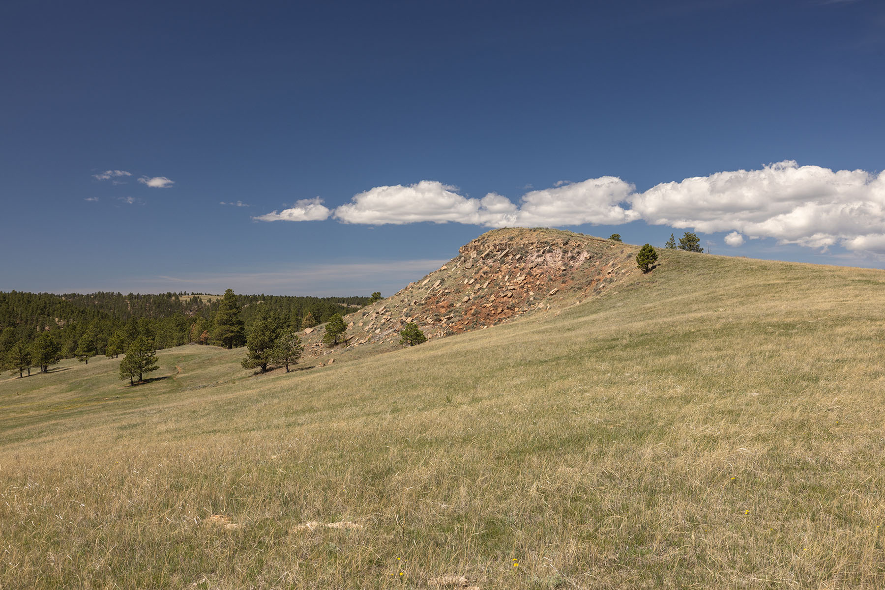 Riley Ranch property picture 17 of 33