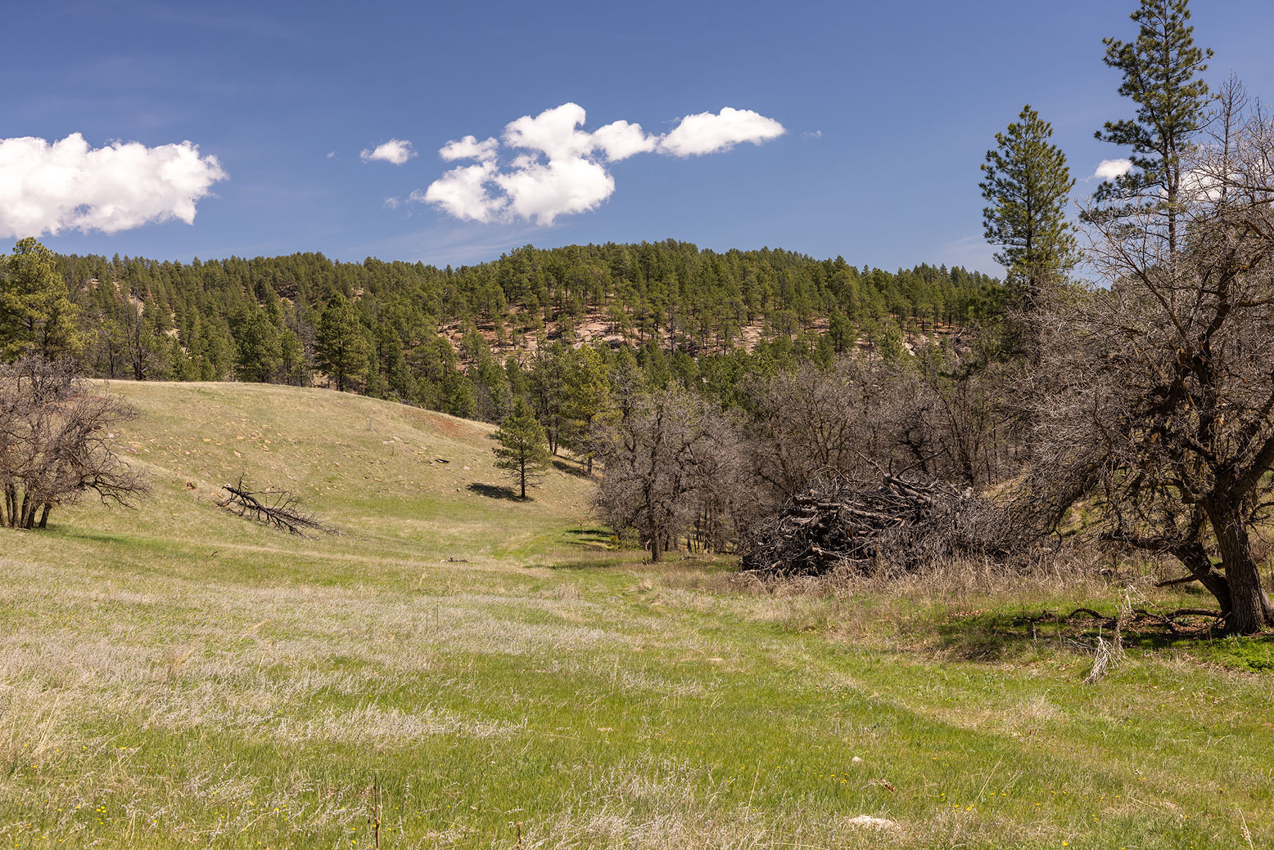 Riley Ranch property picture 19 of 33