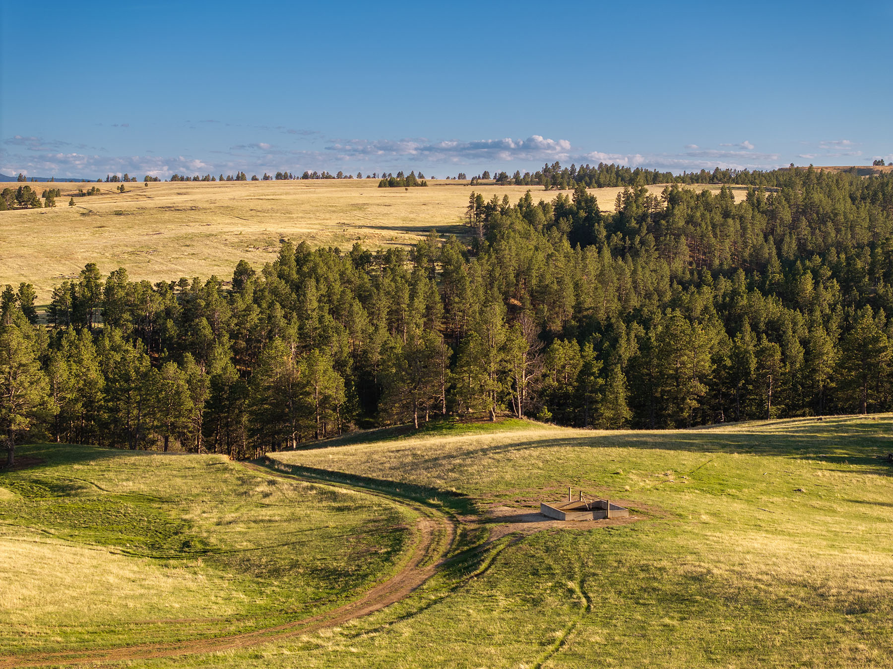 Riley Ranch property picture 7 of 33