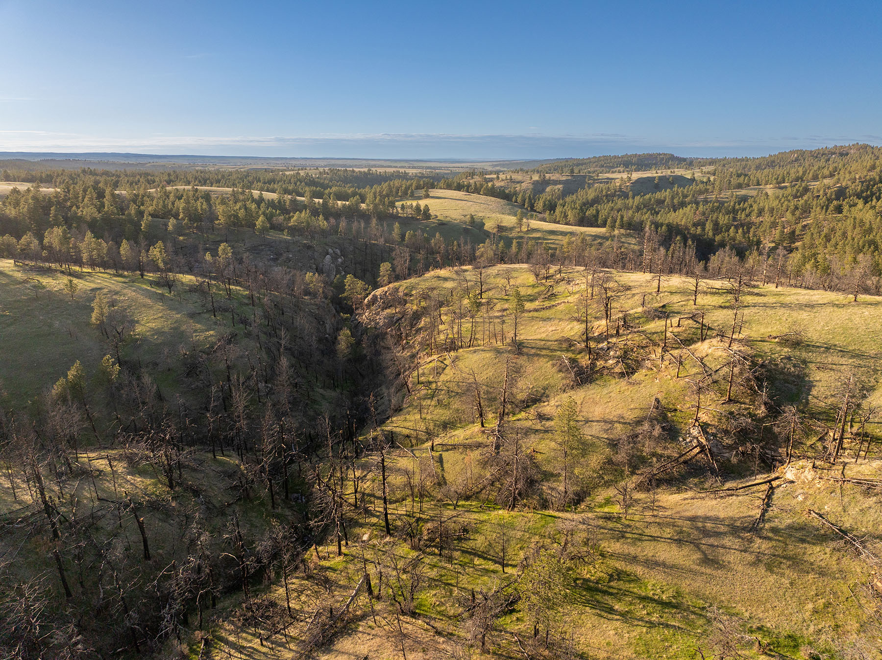 Riley Ranch property picture 23 of 33