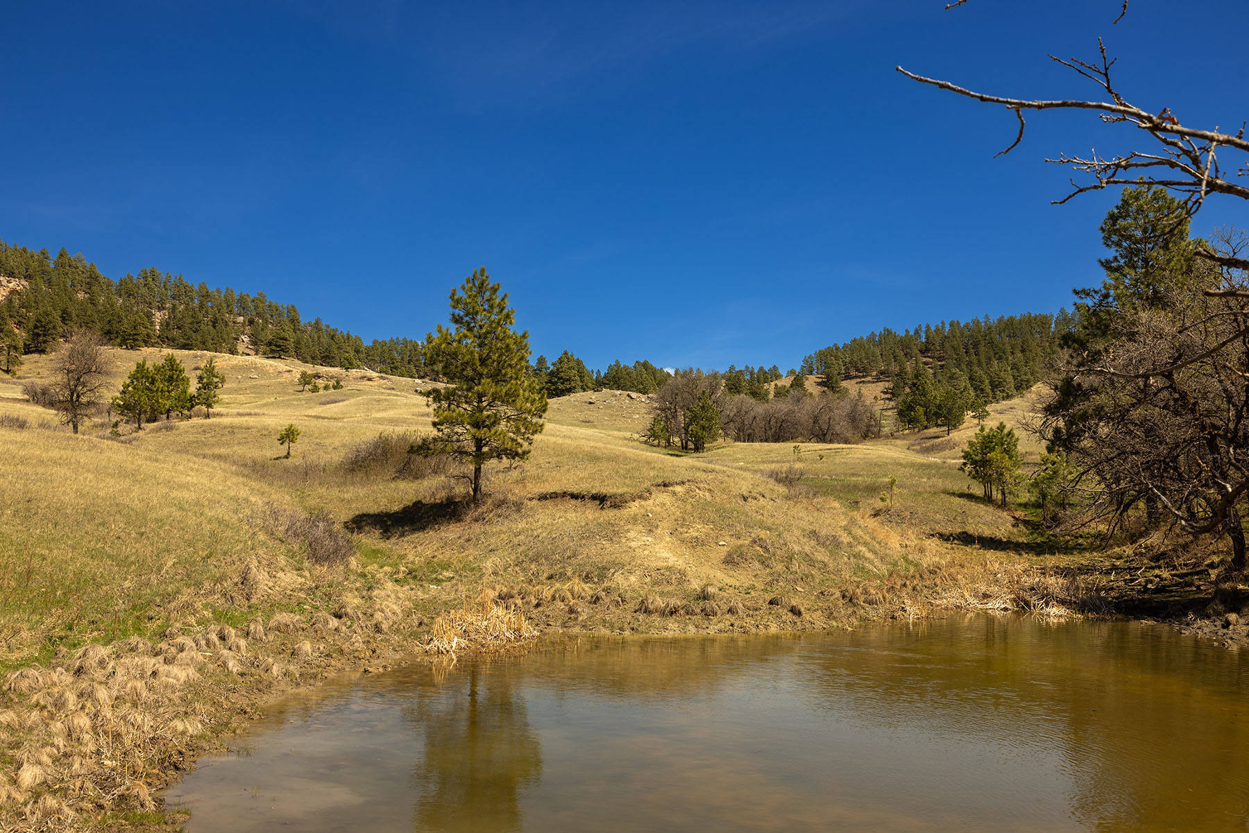 Riley Ranch property picture 4 of 33