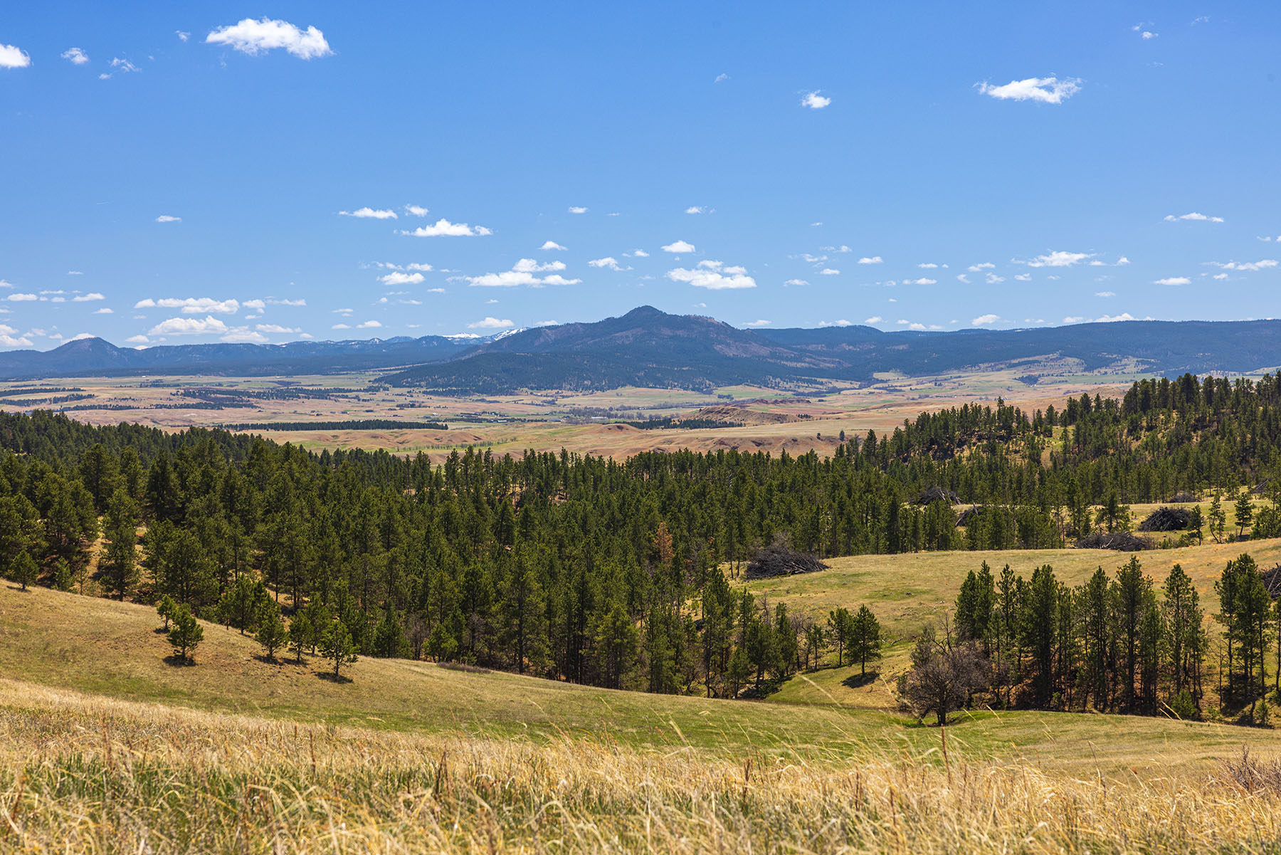 Riley Ranch property picture 3 of 33