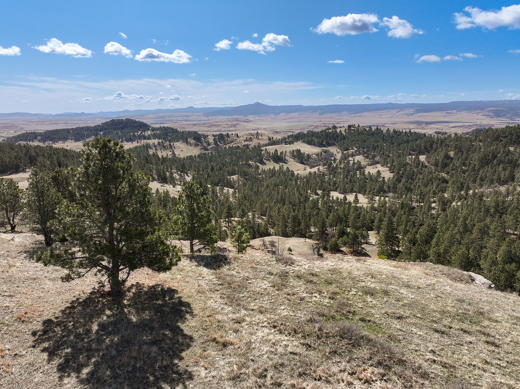 Riley Ranch property picture 27 of 33