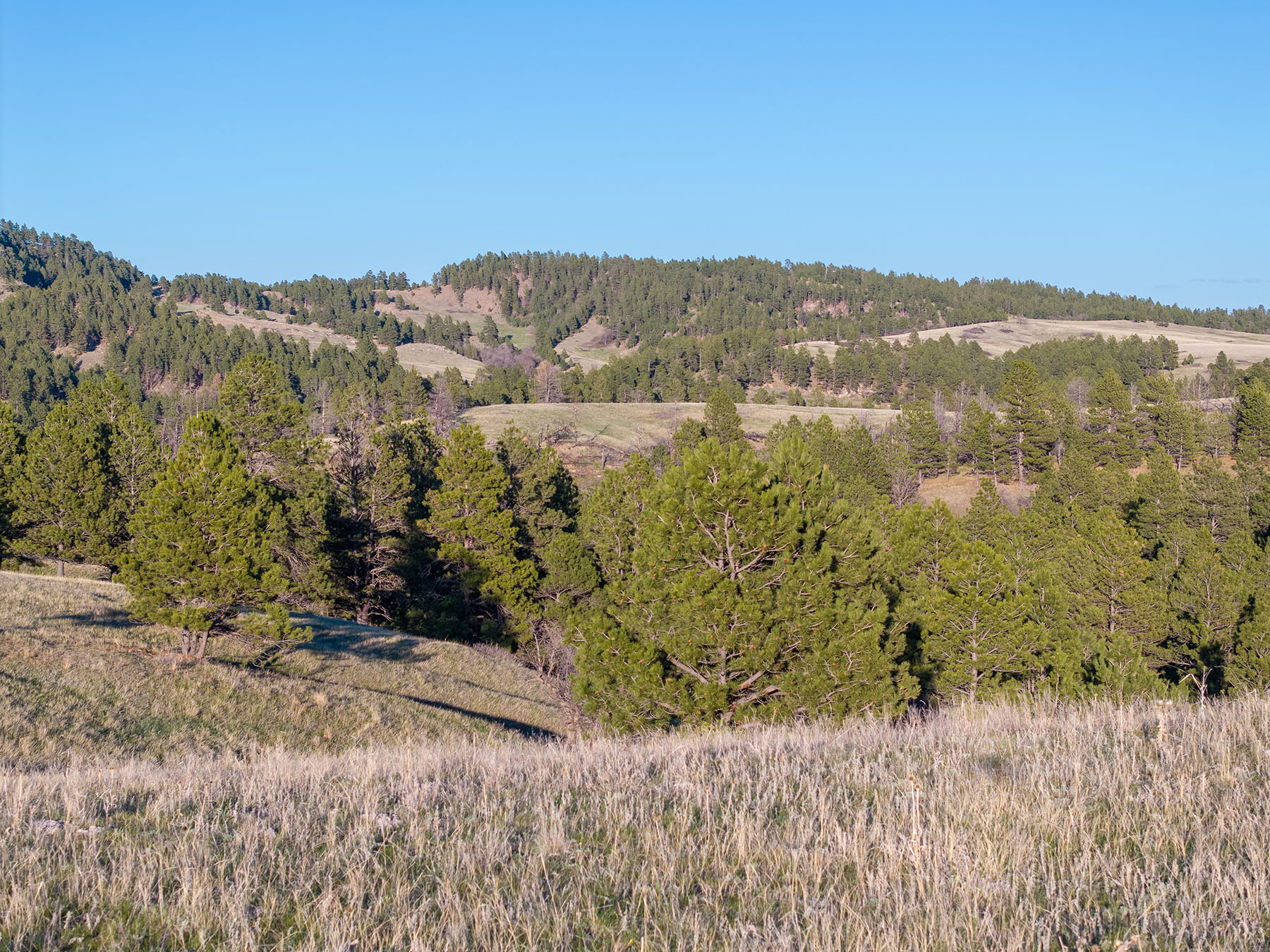 Riley Ranch property picture 33 of 33