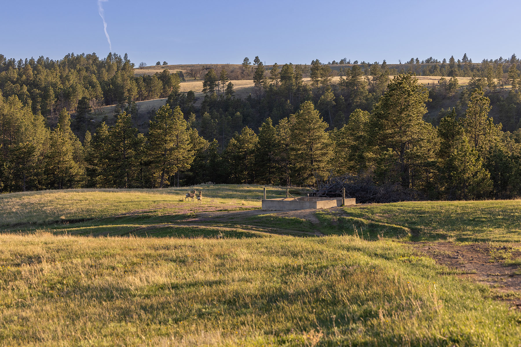 Riley Ranch property picture 22 of 33
