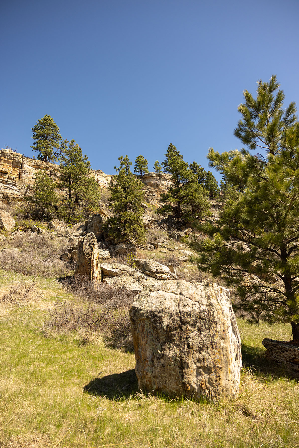 Riley Ranch property picture 5 of 33