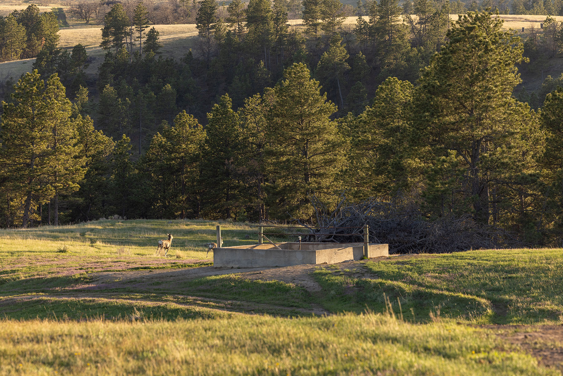 Riley Ranch property picture 24 of 33