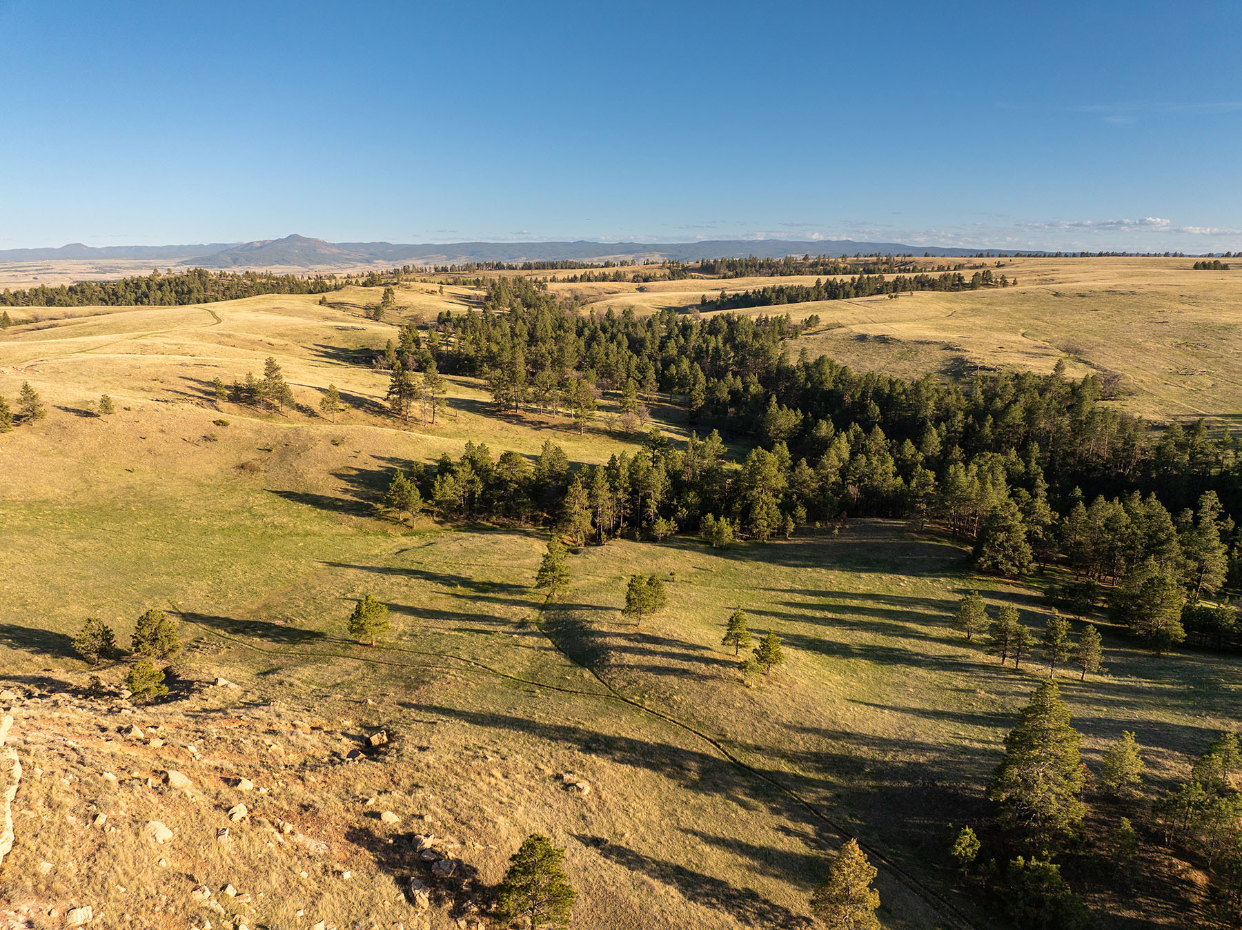 Riley Ranch property picture 31 of 33