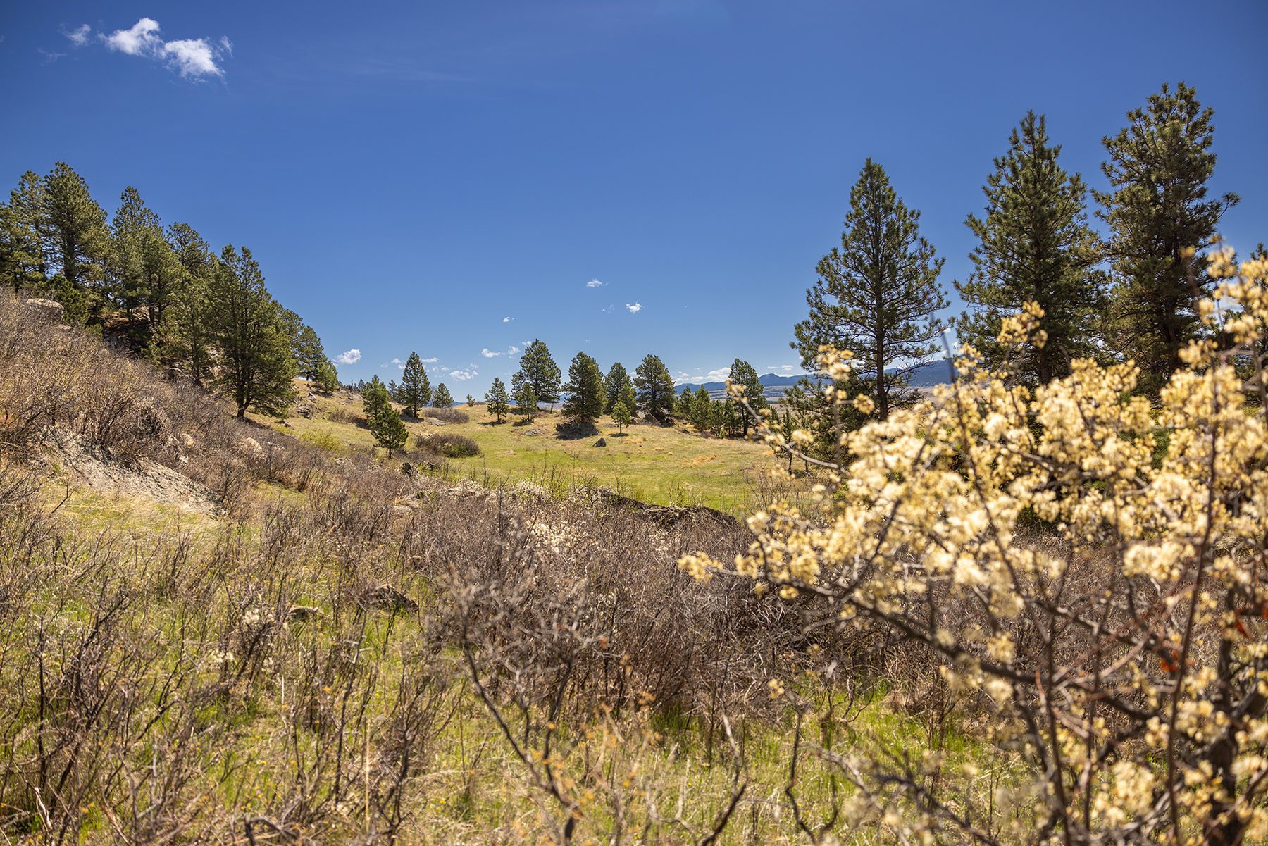 Riley Ranch property picture 11 of 33