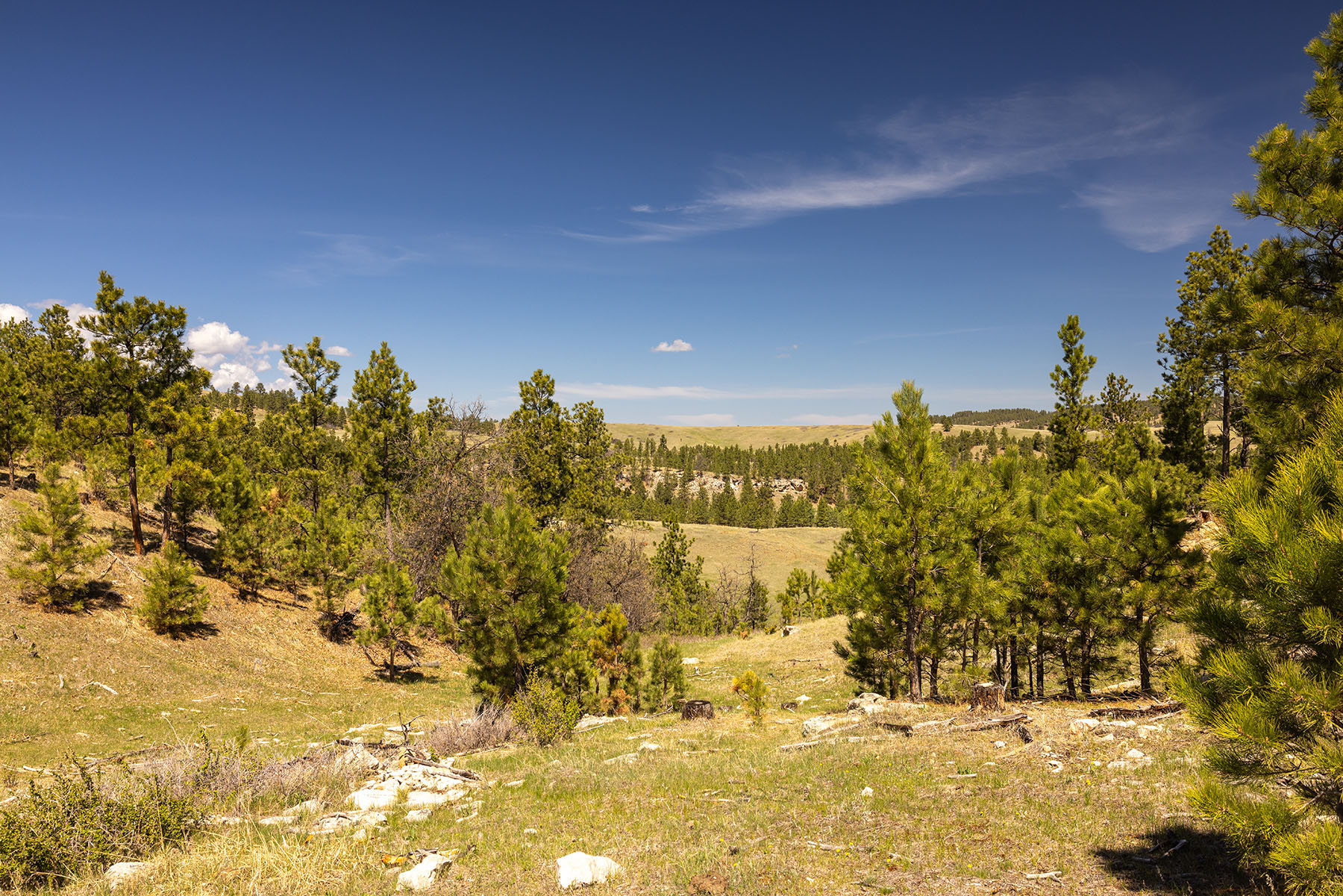 Riley Ranch property picture 15 of 33