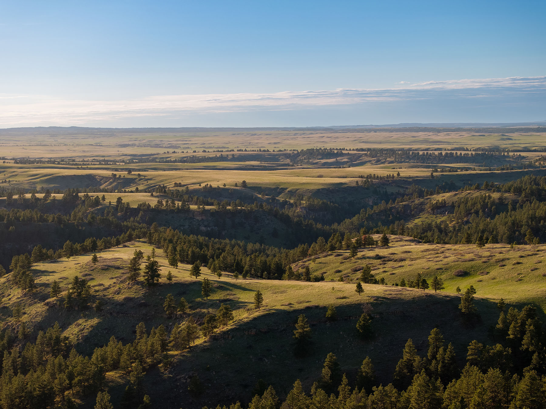 Riley Ranch property picture 18 of 33