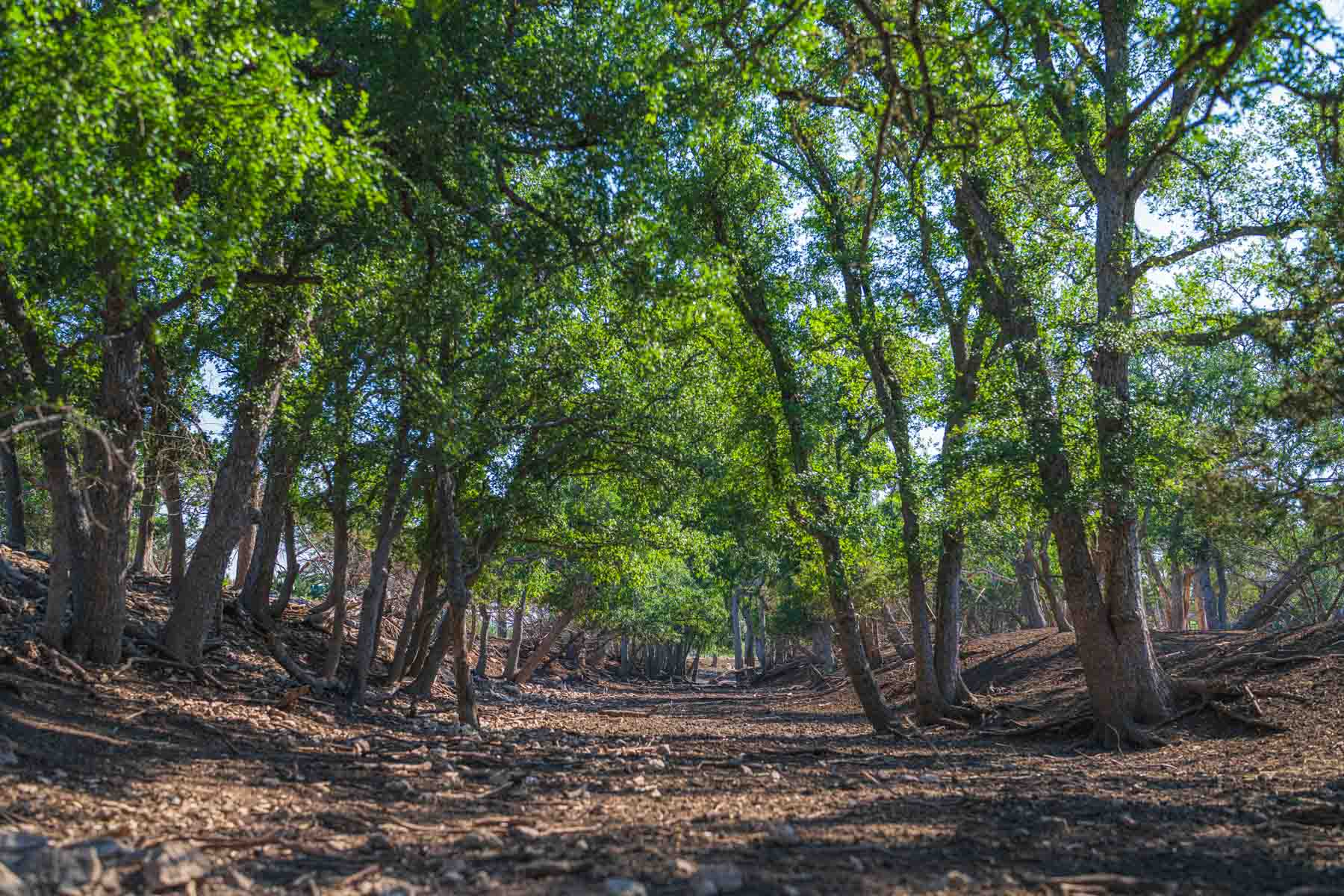 Little Victory Ranch property picture 21 of 21