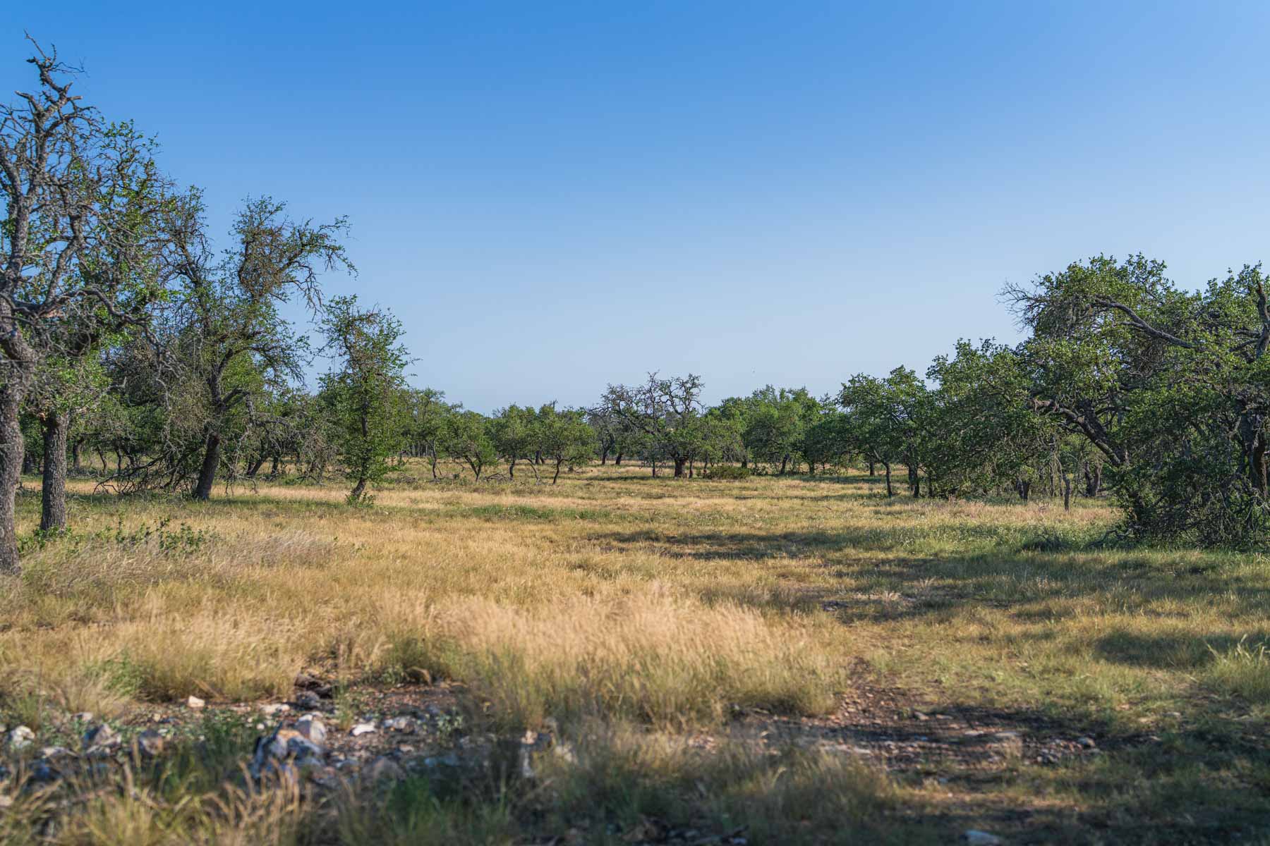 Little Victory Ranch property picture 17 of 21