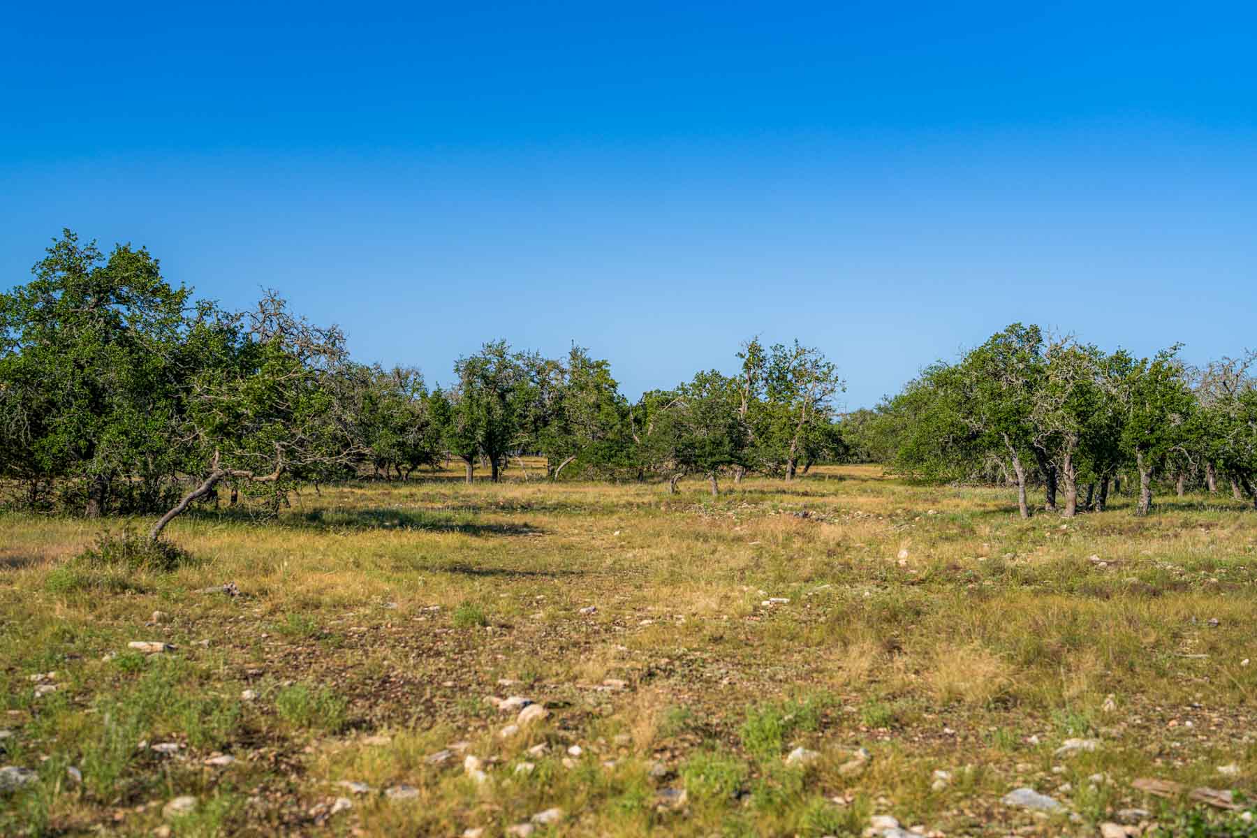 Little Victory Ranch property picture 13 of 21