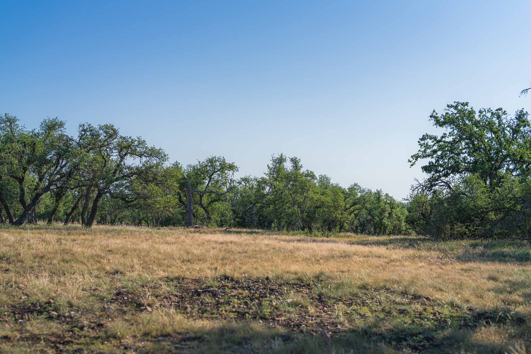 Little Victory Ranch property picture 14 of 21