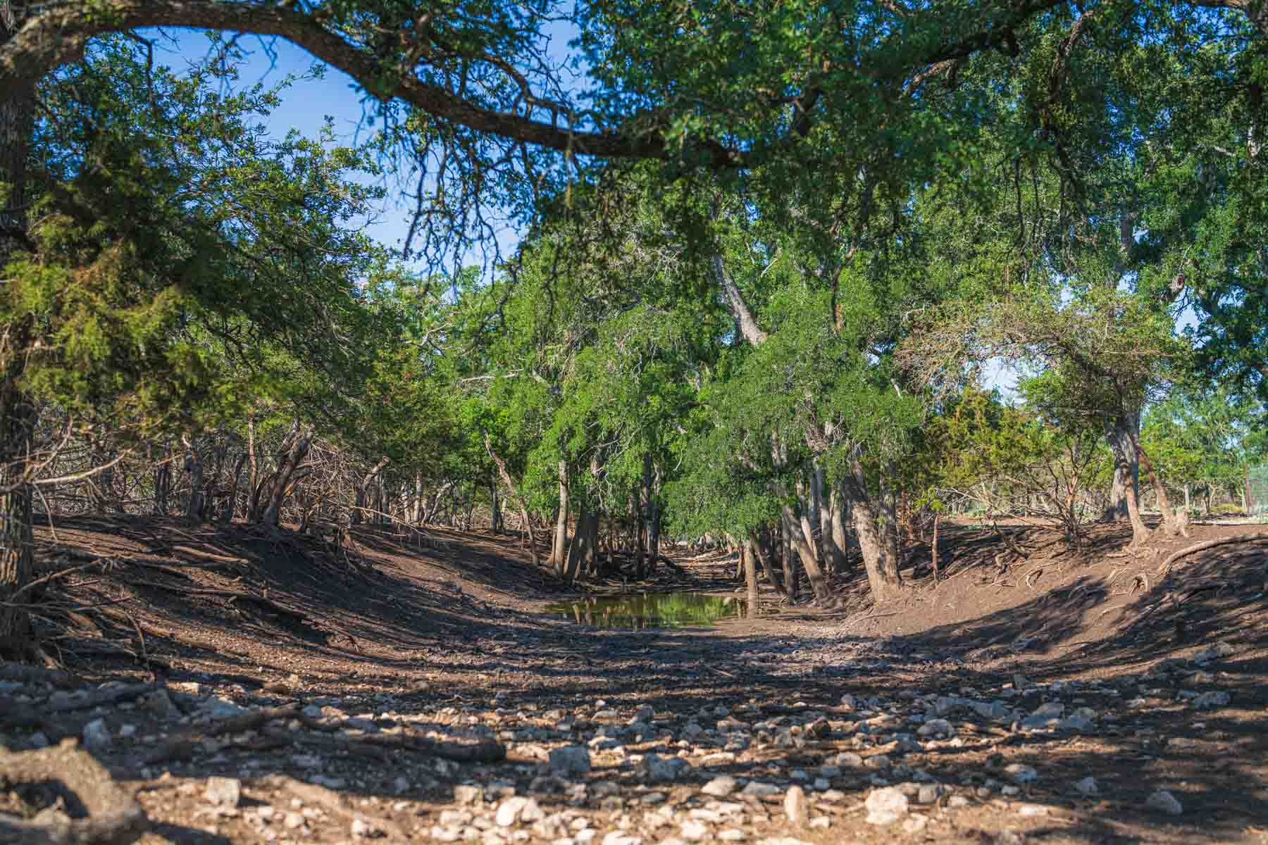 Little Victory Ranch property picture 20 of 21