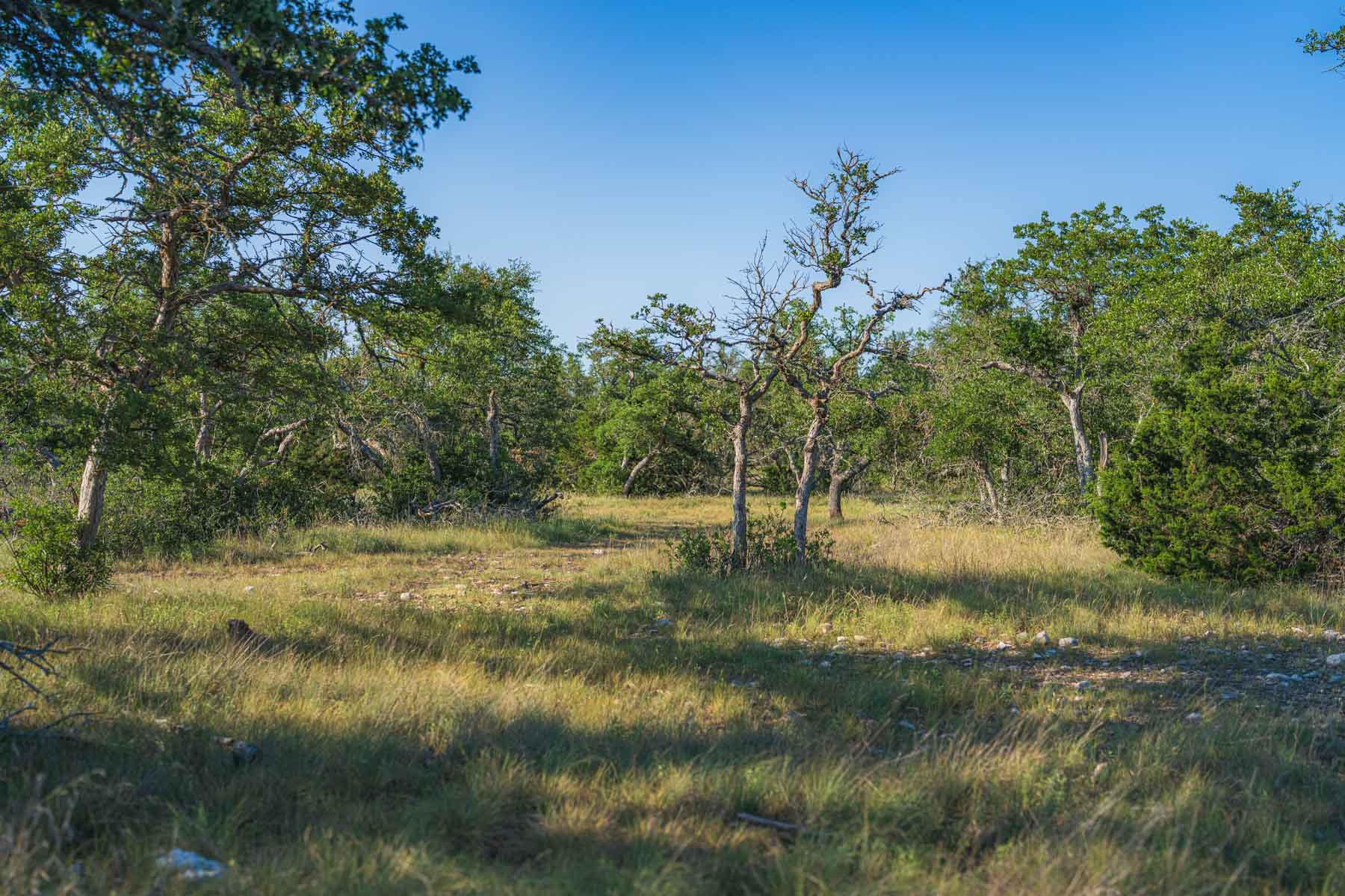 Little Victory Ranch property picture 12 of 21