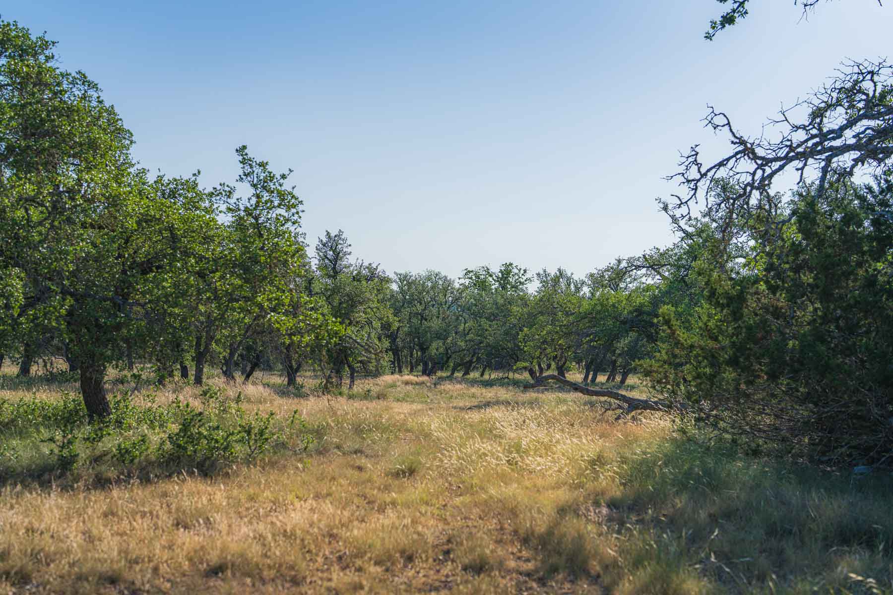 Little Victory Ranch property picture 16 of 21