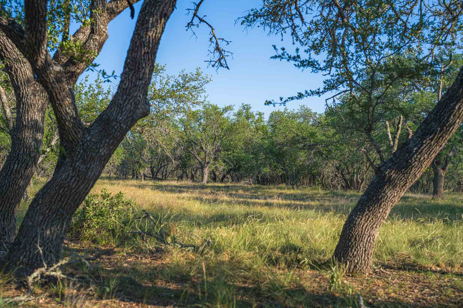 Little Victory Ranch property picture 9 of 21