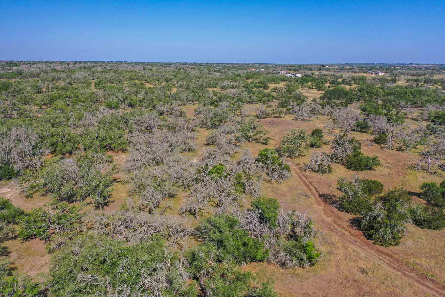 Little Victory Ranch property picture 3 of 21