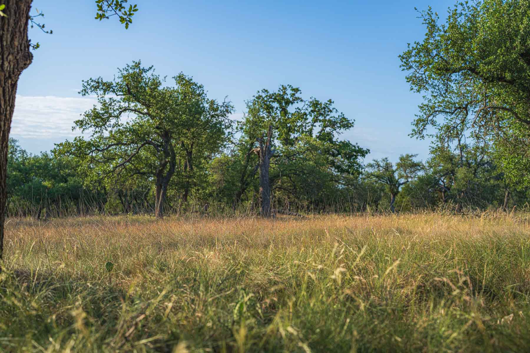 Little Victory Ranch property picture 7 of 21