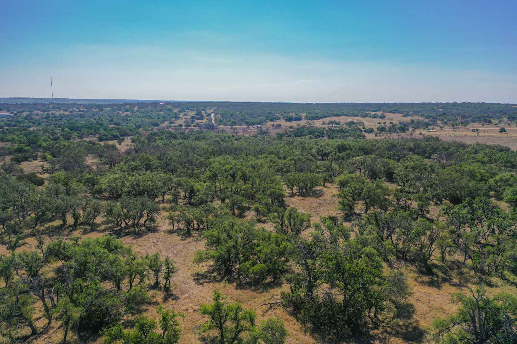 Little Victory Ranch property picture 5 of 21