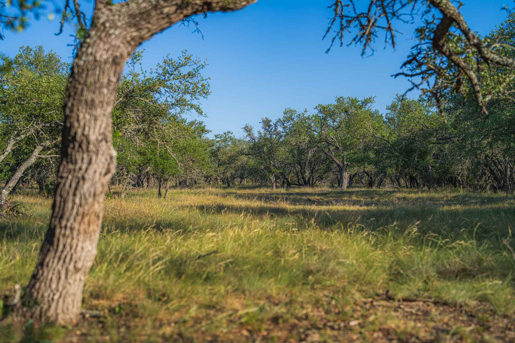 Little Victory Ranch property picture 10 of 21