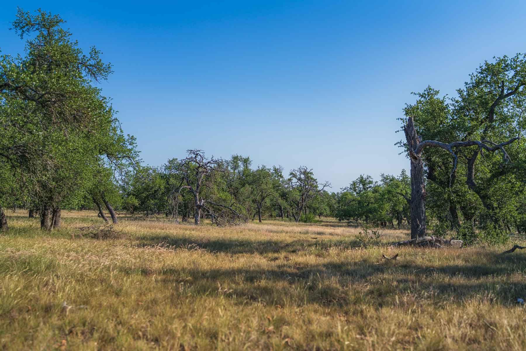 Little Victory Ranch property picture 15 of 21