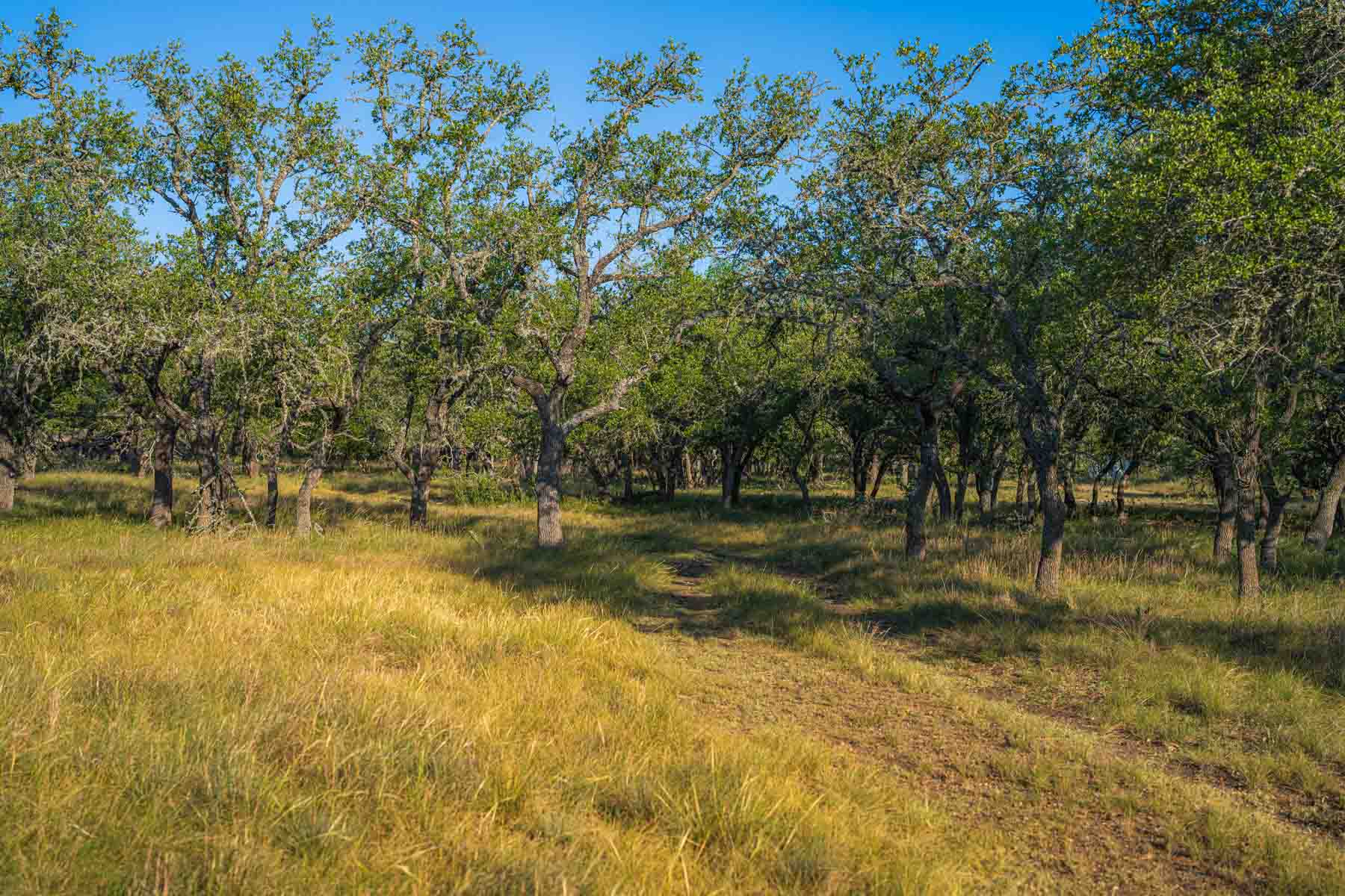 Little Victory Ranch property picture 8 of 21