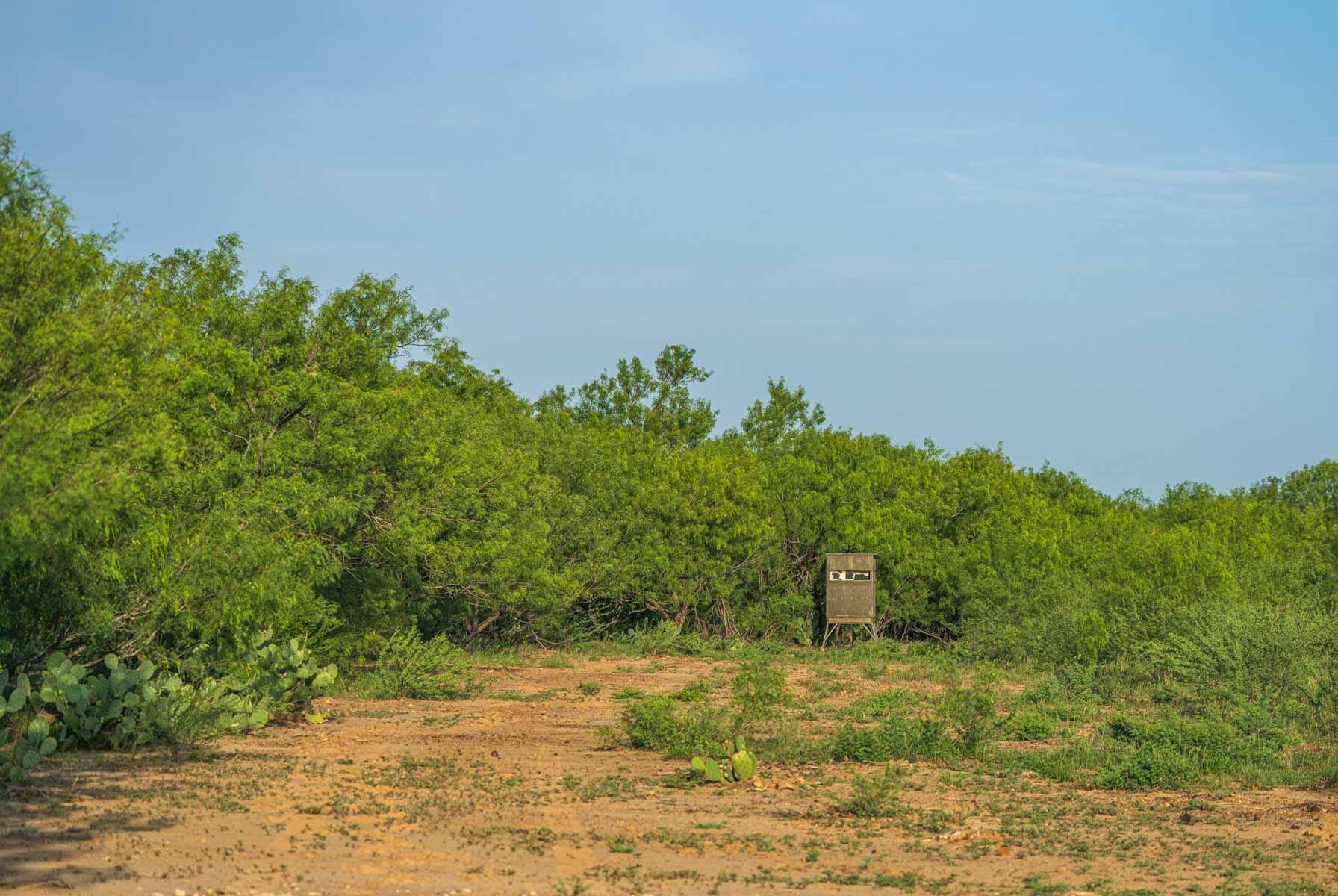 Dos Presas Ranch property picture 41 of 66