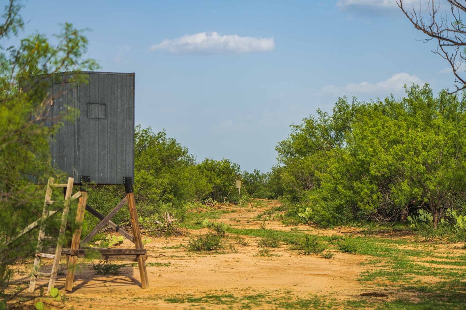 Dos Presas Ranch property picture 38 of 66