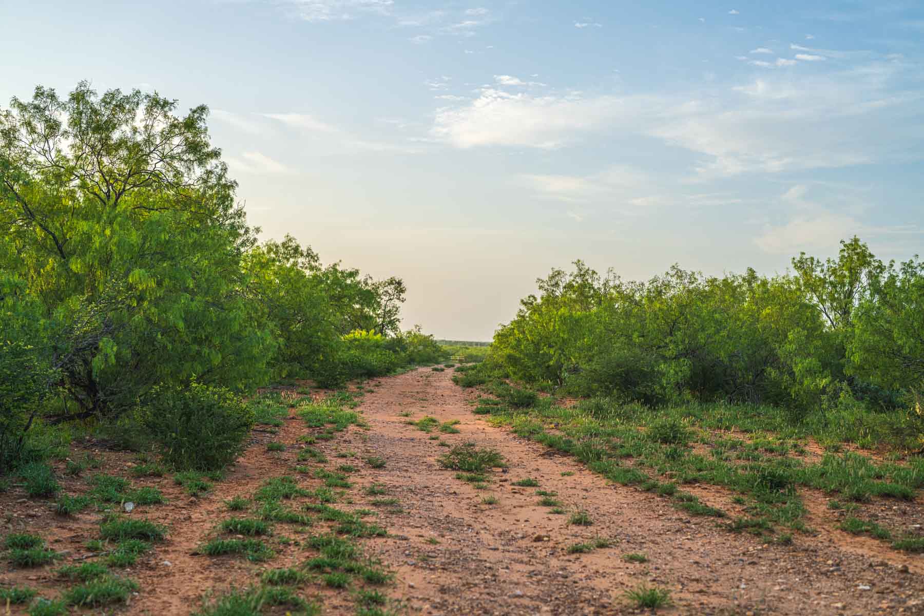 Dos Presas Ranch property picture 43 of 66