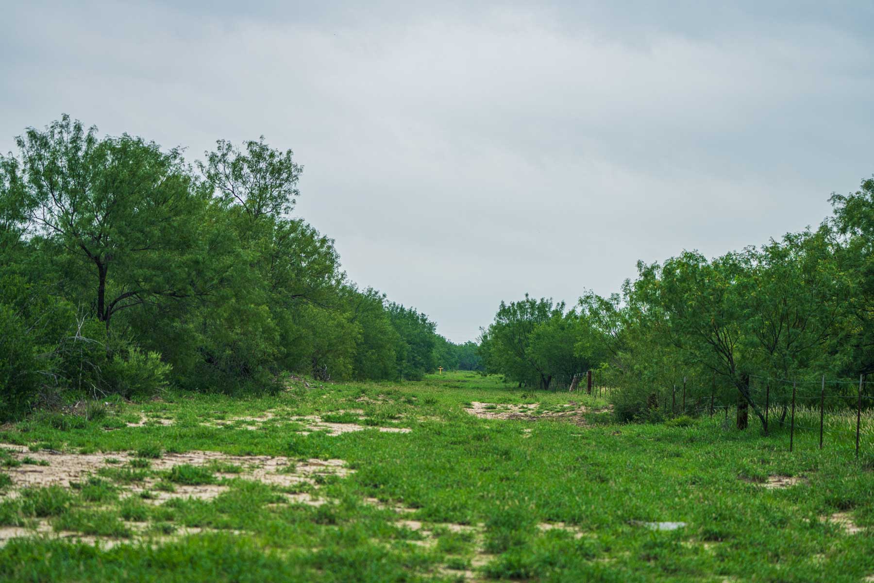 Dos Presas Ranch property picture 28 of 66
