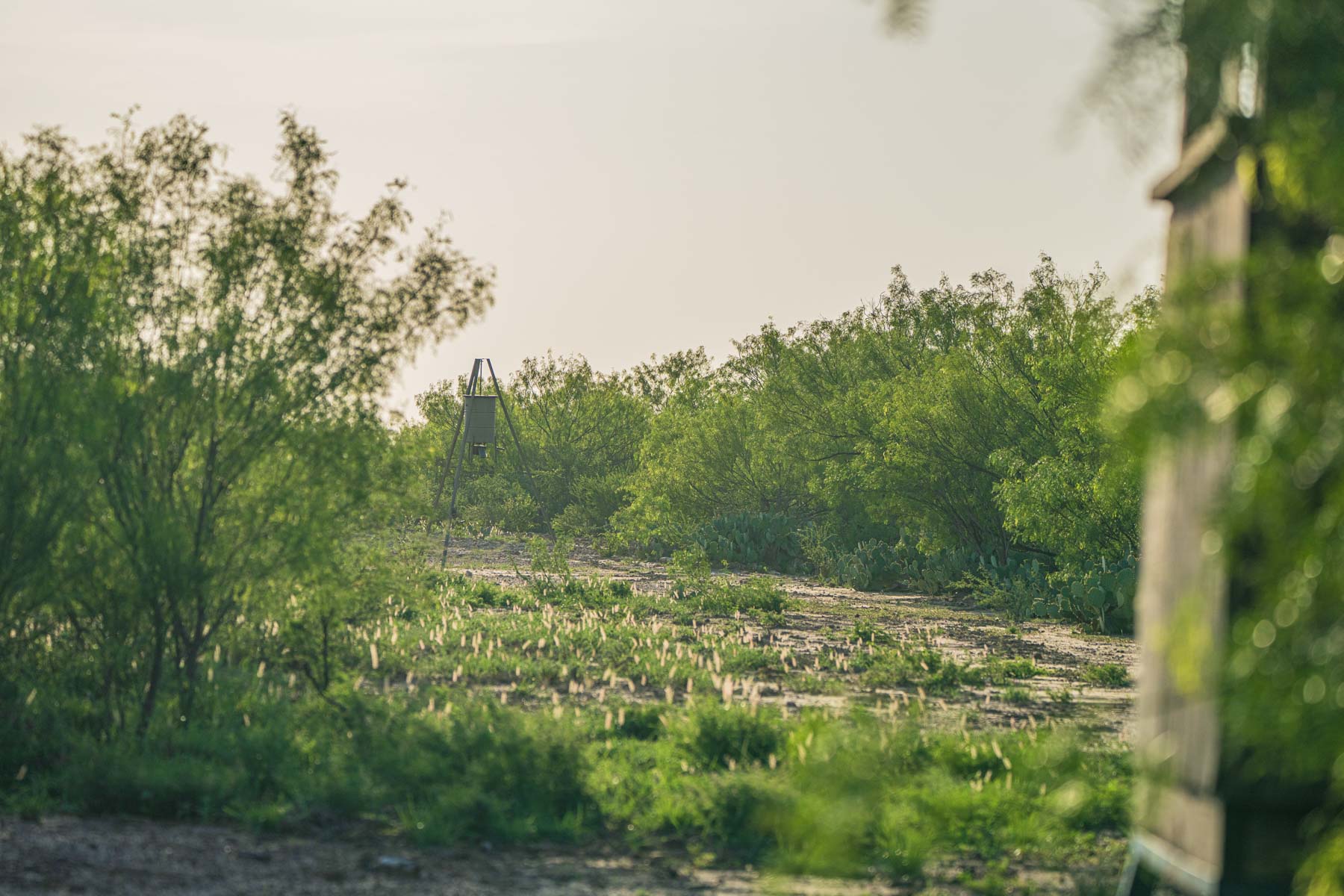 Dos Presas Ranch property picture 40 of 66