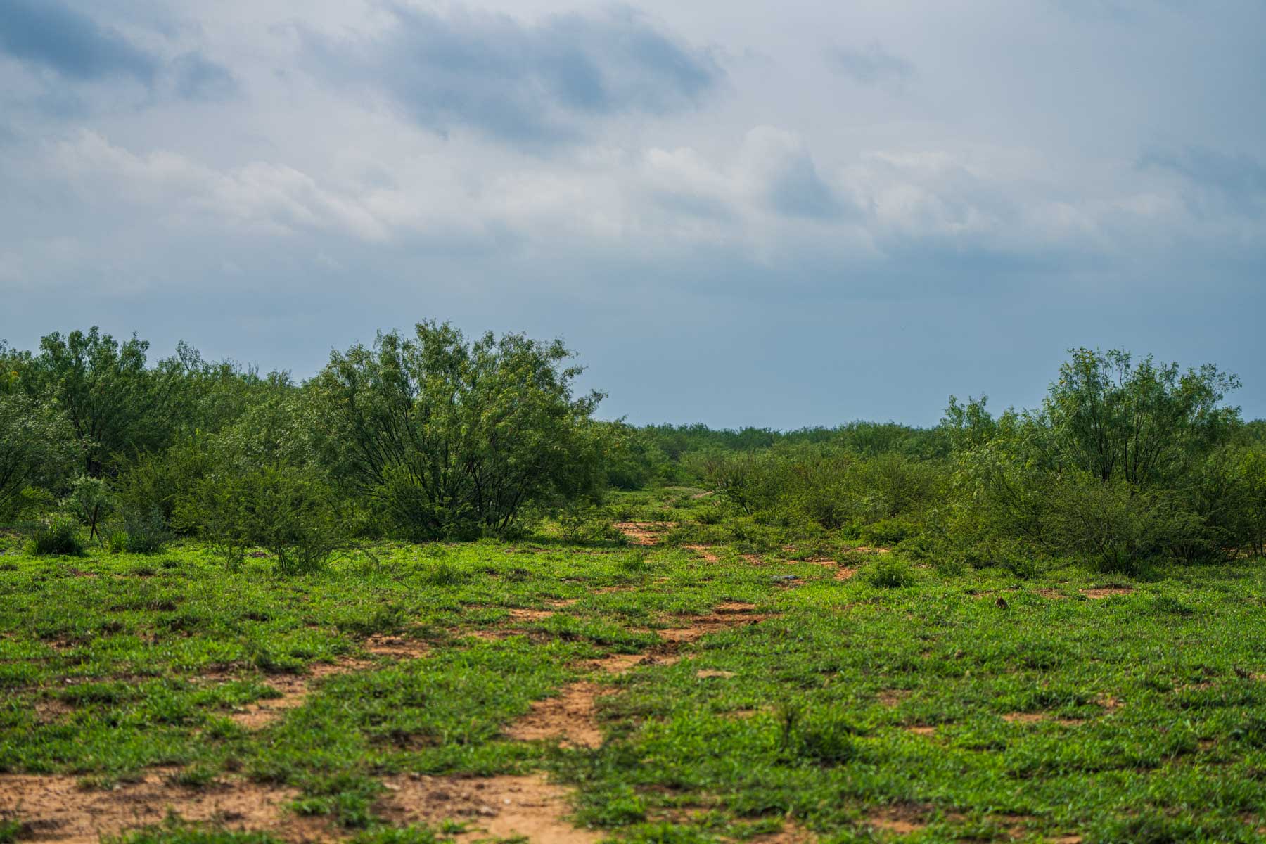 Dos Presas Ranch property picture 29 of 66