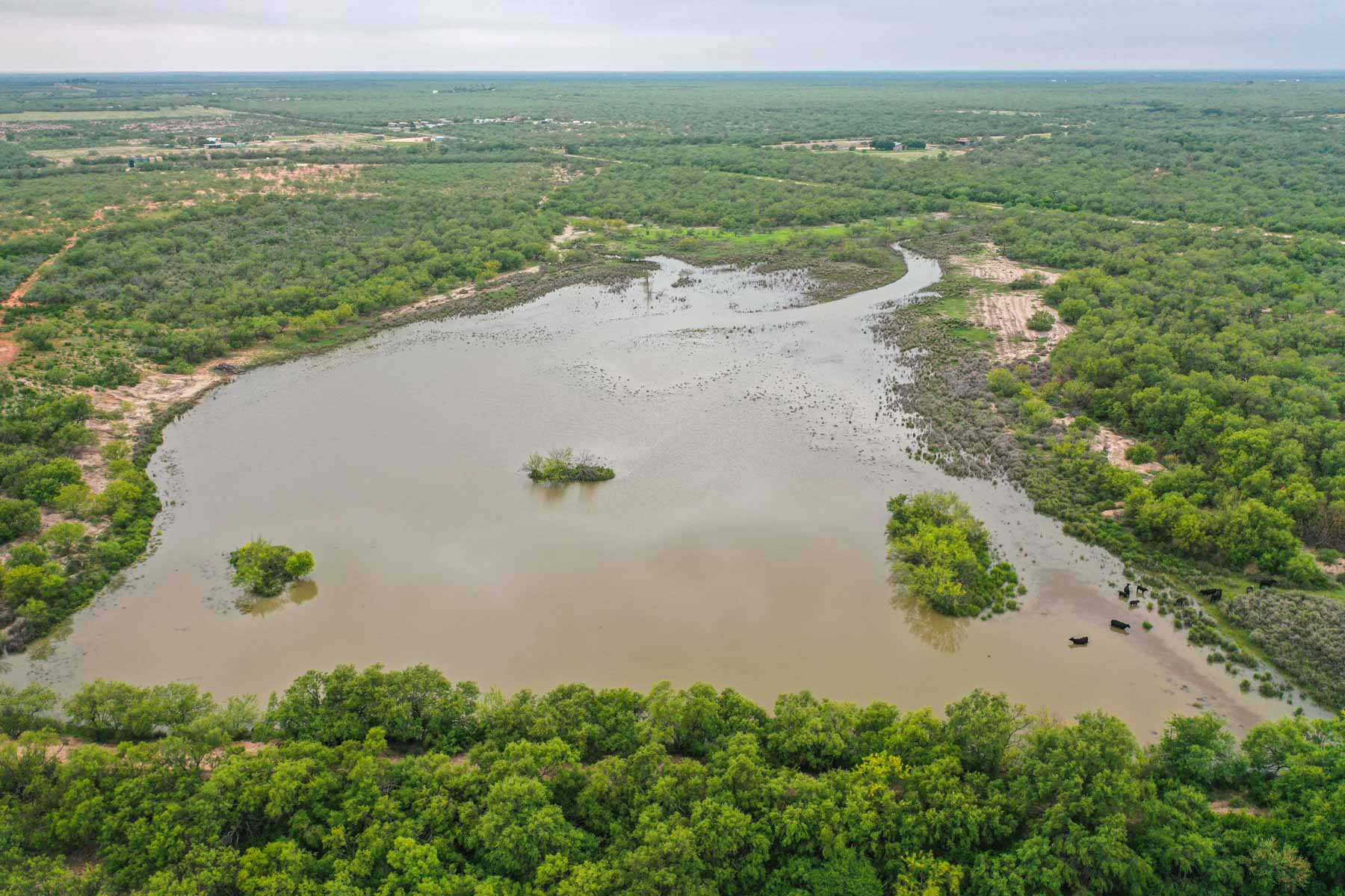 Dos Presas Ranch property picture 64 of 66