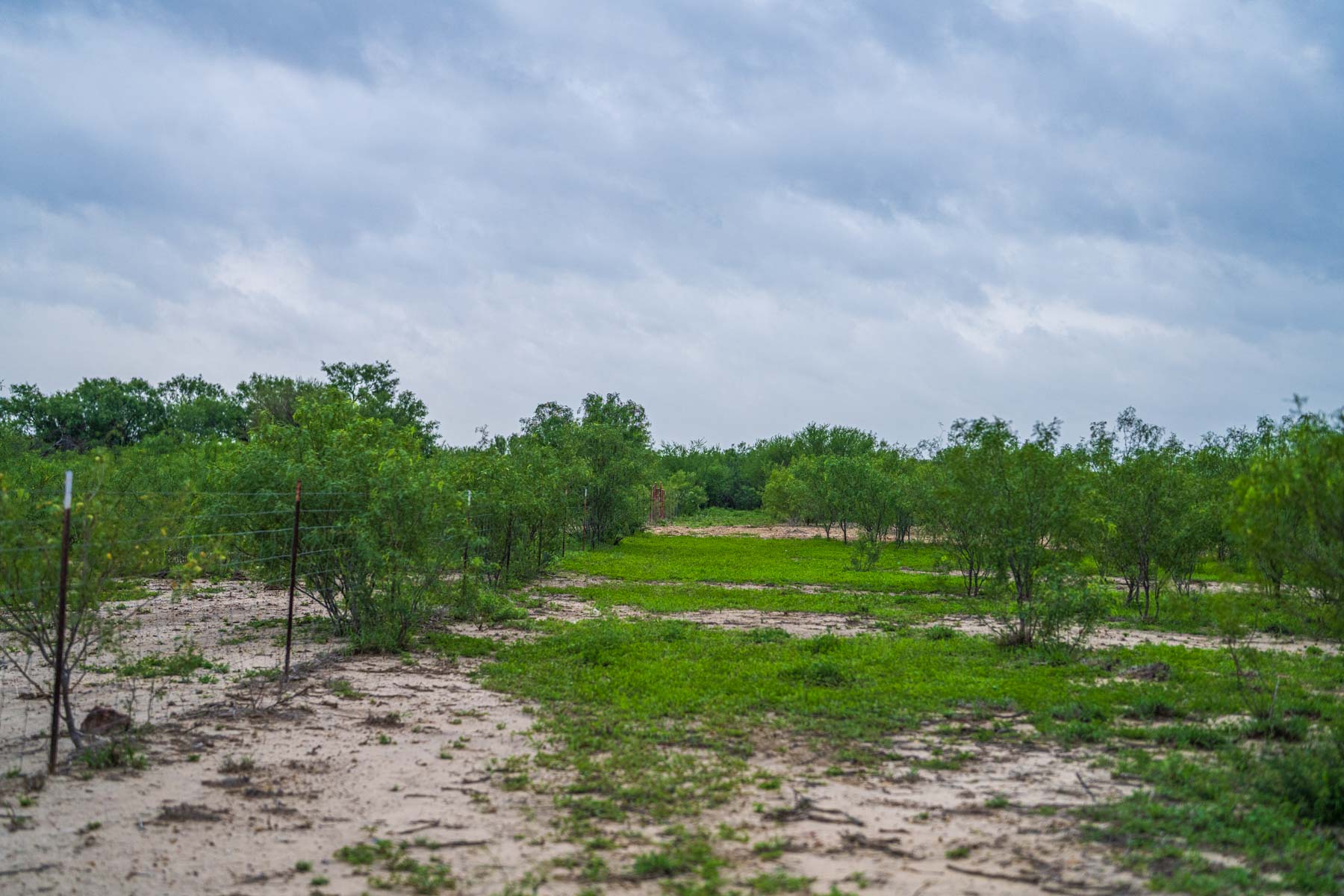 Dos Presas Ranch property picture 26 of 66